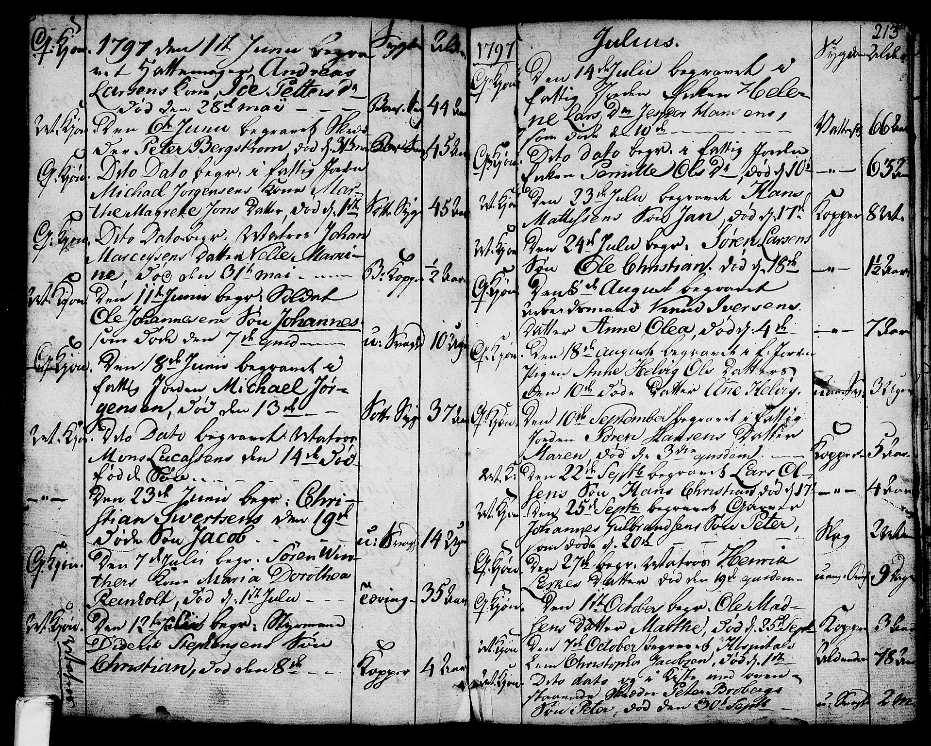 Larvik kirkebøker, AV/SAKO-A-352/G/Ga/L0001: Parish register (copy) no. I 1, 1785-1807, p. 213