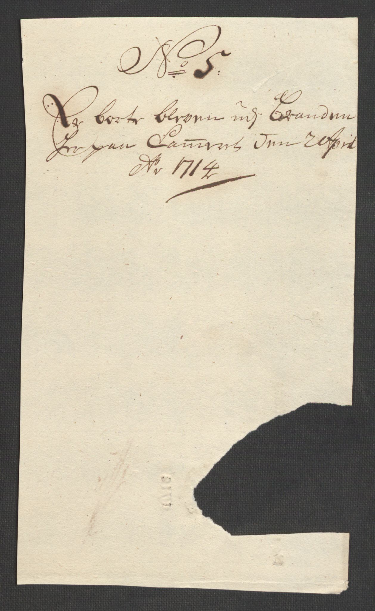 Rentekammeret inntil 1814, Reviderte regnskaper, Fogderegnskap, RA/EA-4092/R33/L1976: Fogderegnskap Larvik grevskap, 1698-1701, p. 165