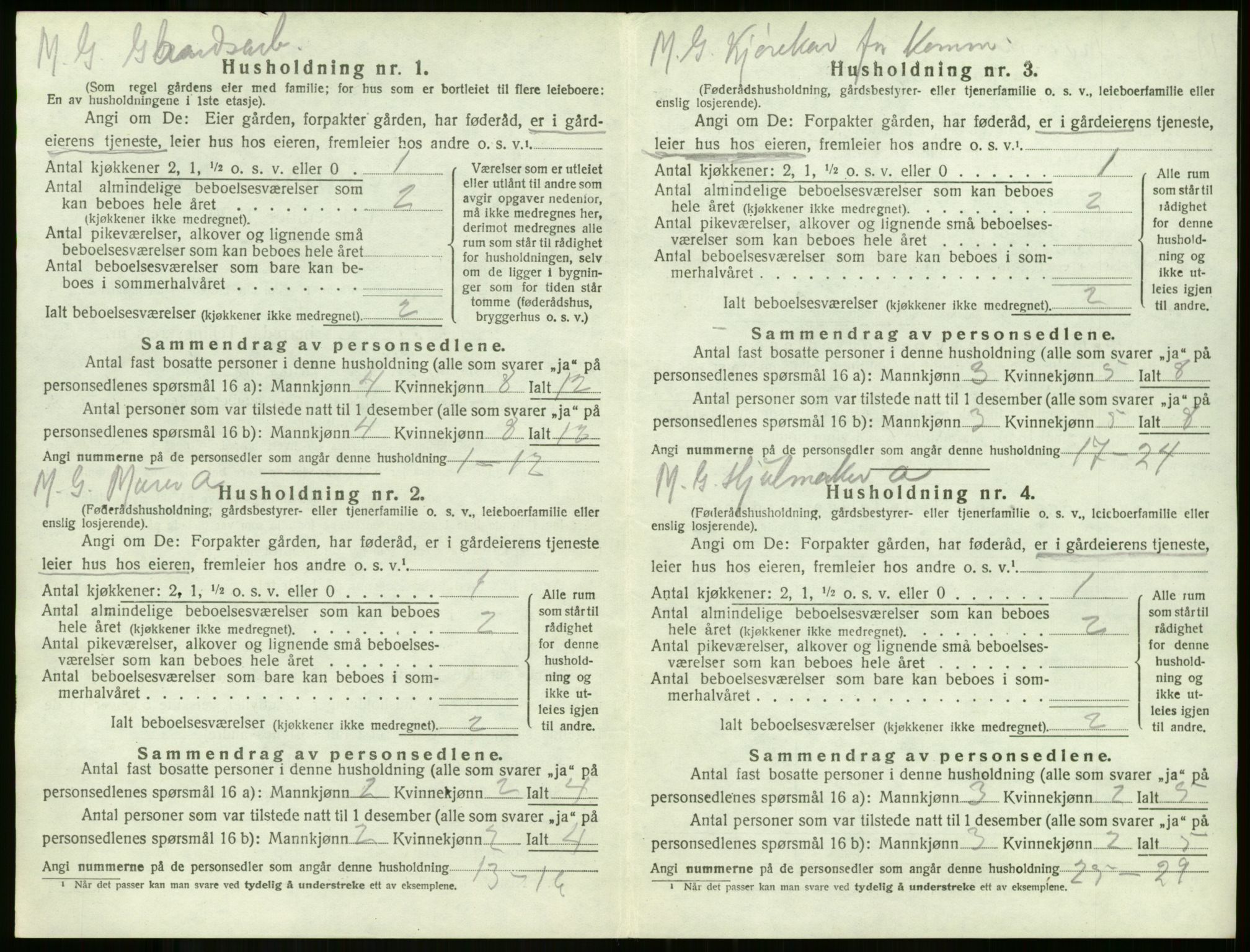 SAKO, 1920 census for Borre, 1920, p. 795