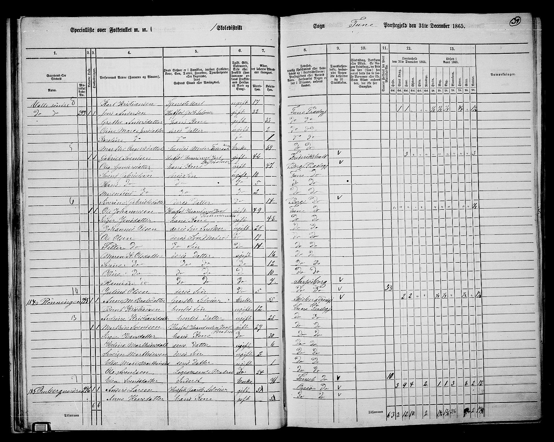 RA, 1865 census for Tune, 1865, p. 36