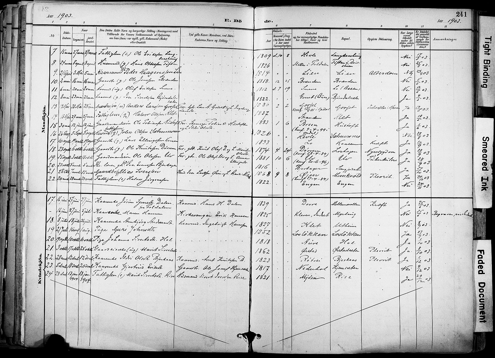 Ministerialprotokoller, klokkerbøker og fødselsregistre - Sør-Trøndelag, AV/SAT-A-1456/678/L0902: Parish register (official) no. 678A11, 1895-1911, p. 241