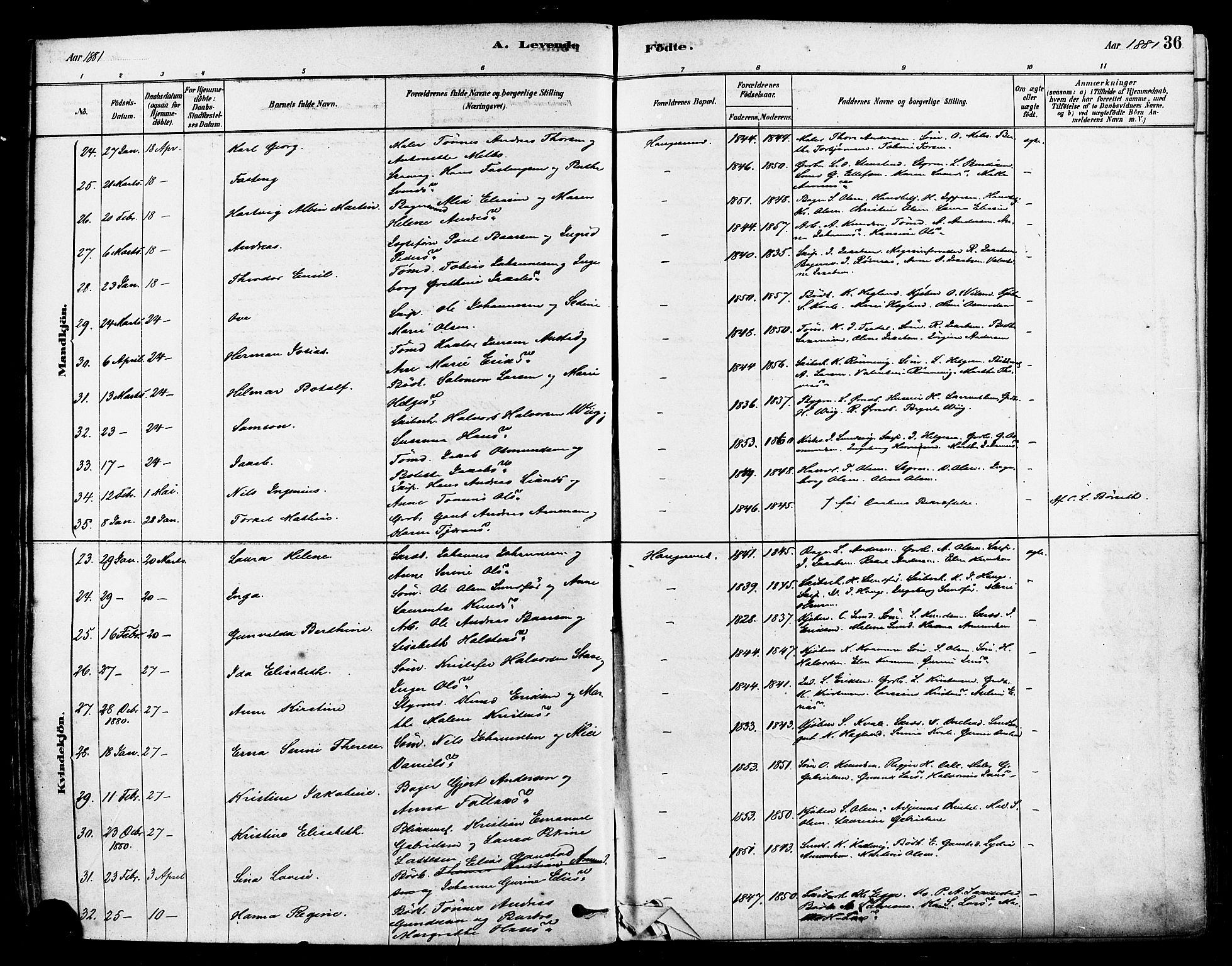 Haugesund sokneprestkontor, SAST/A -101863/H/Ha/Haa/L0001: Parish register (official) no. A 1, 1878-1885, p. 36
