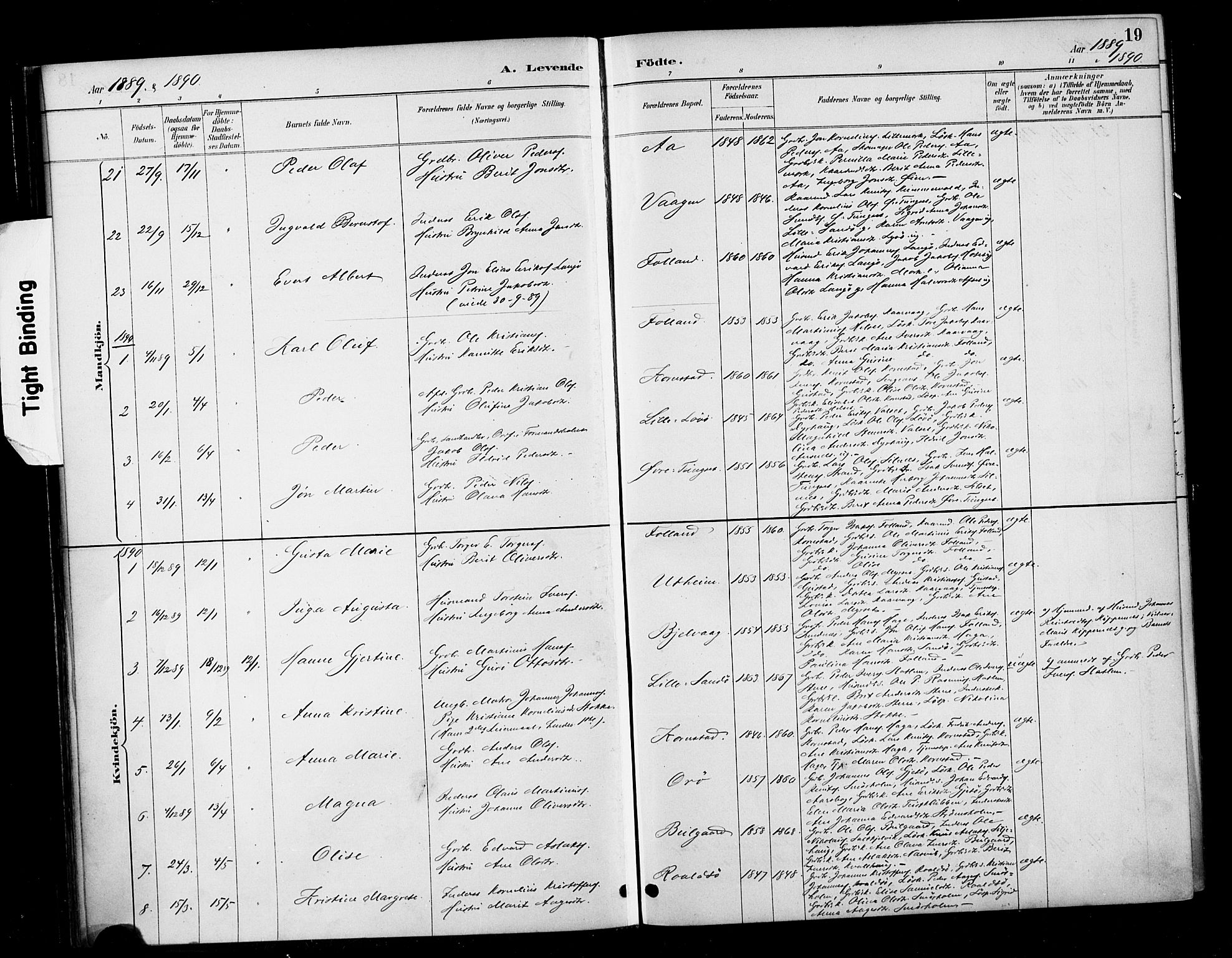Ministerialprotokoller, klokkerbøker og fødselsregistre - Møre og Romsdal, SAT/A-1454/570/L0832: Parish register (official) no. 570A06, 1885-1900, p. 19