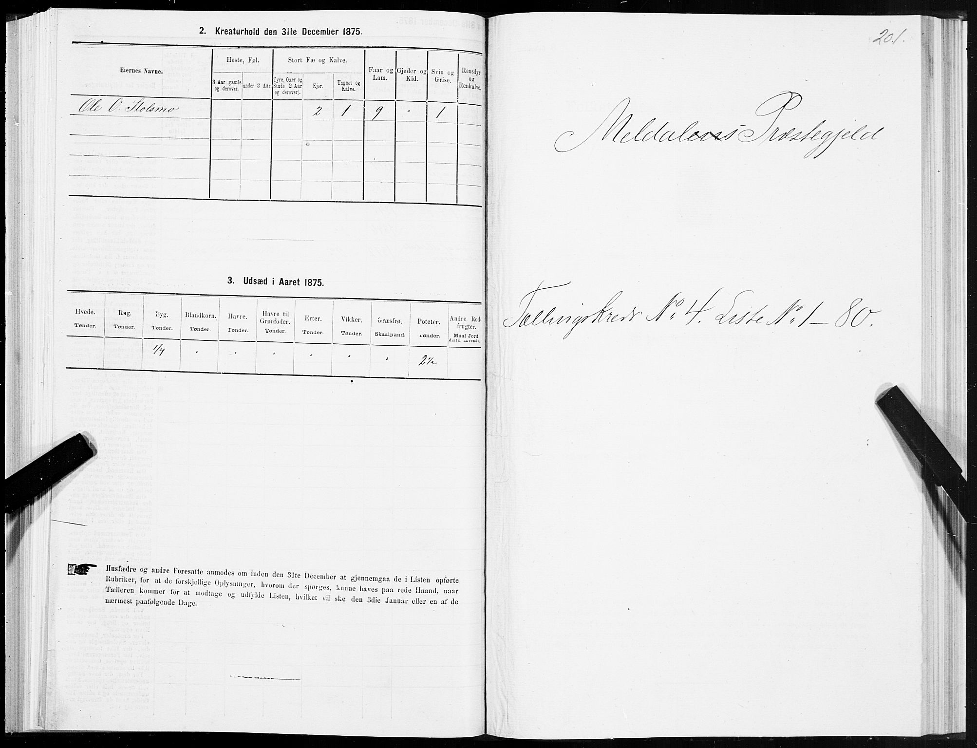 SAT, 1875 census for 1636P Meldal, 1875, p. 2201