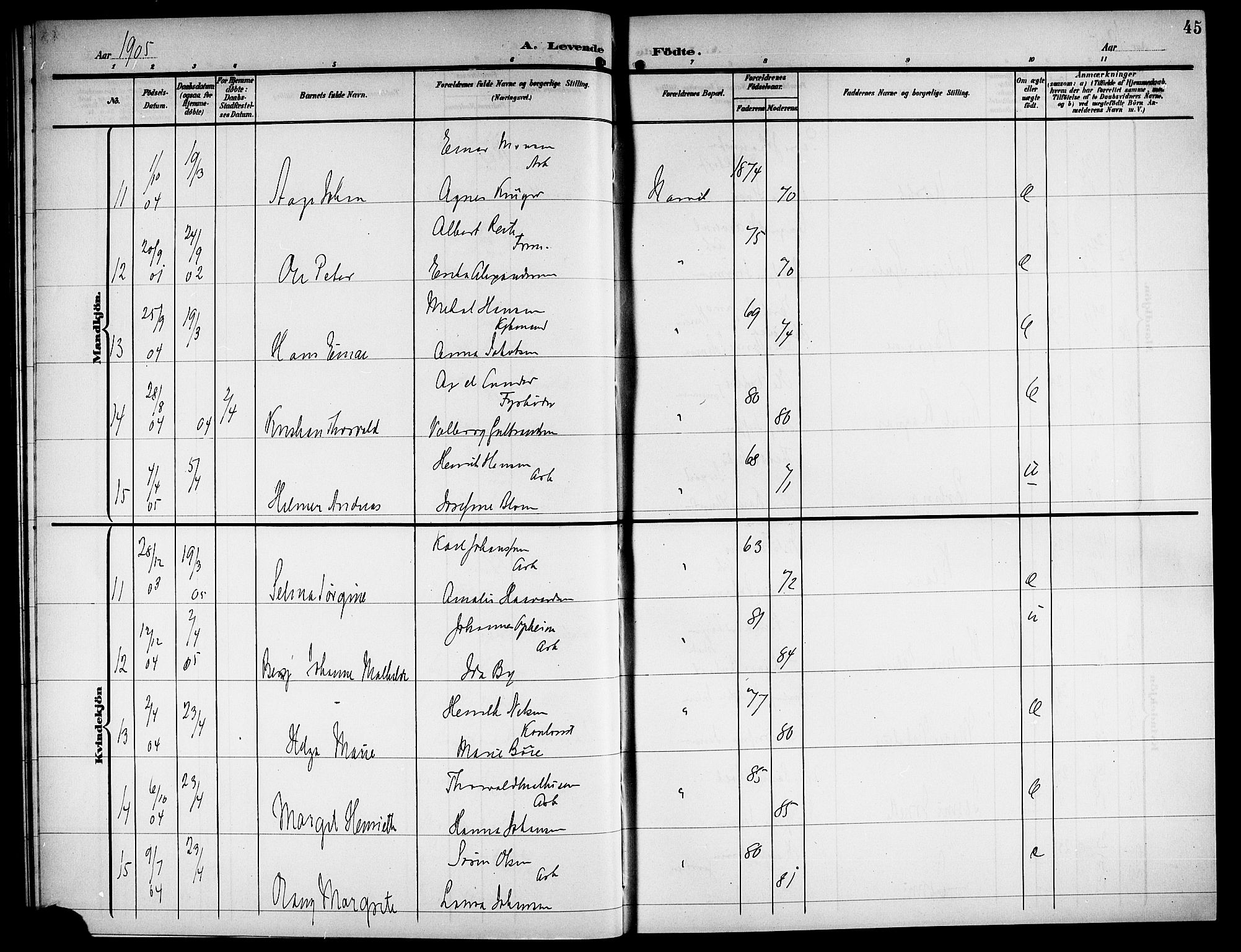 Ministerialprotokoller, klokkerbøker og fødselsregistre - Nordland, AV/SAT-A-1459/871/L1012: Parish register (copy) no. 871C01, 1902-1909, p. 45