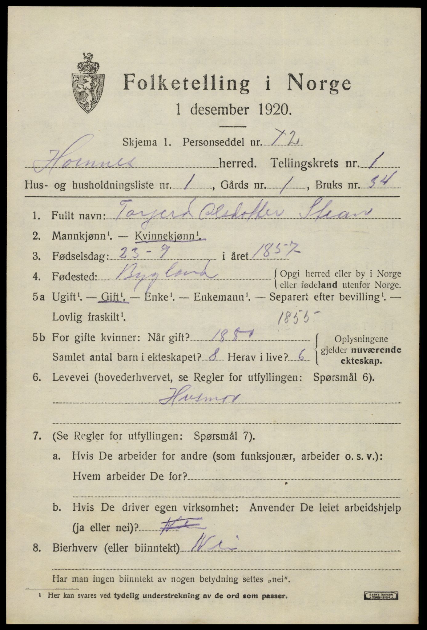 SAK, 1920 census for Hornnes, 1920, p. 561