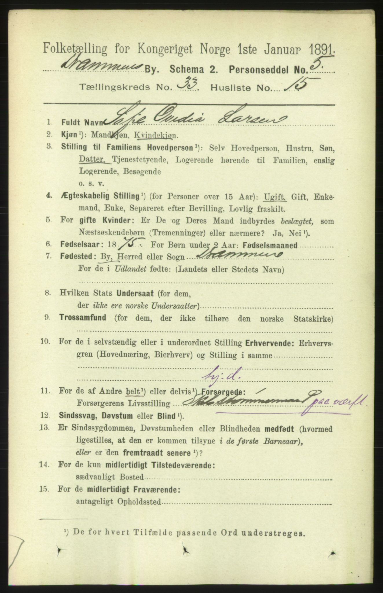 RA, 1891 census for 0602 Drammen, 1891, p. 20160