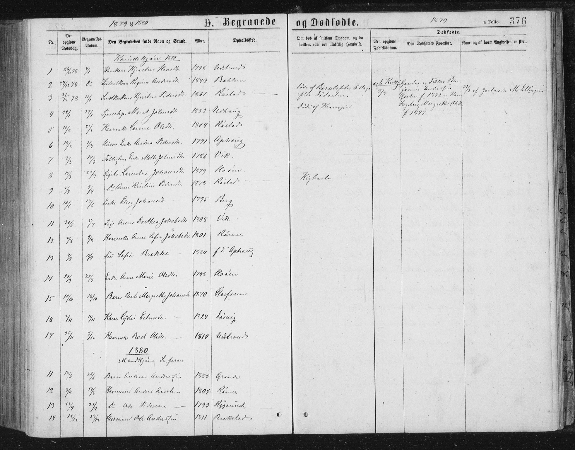 Ministerialprotokoller, klokkerbøker og fødselsregistre - Sør-Trøndelag, AV/SAT-A-1456/659/L0745: Parish register (copy) no. 659C02, 1869-1892, p. 376