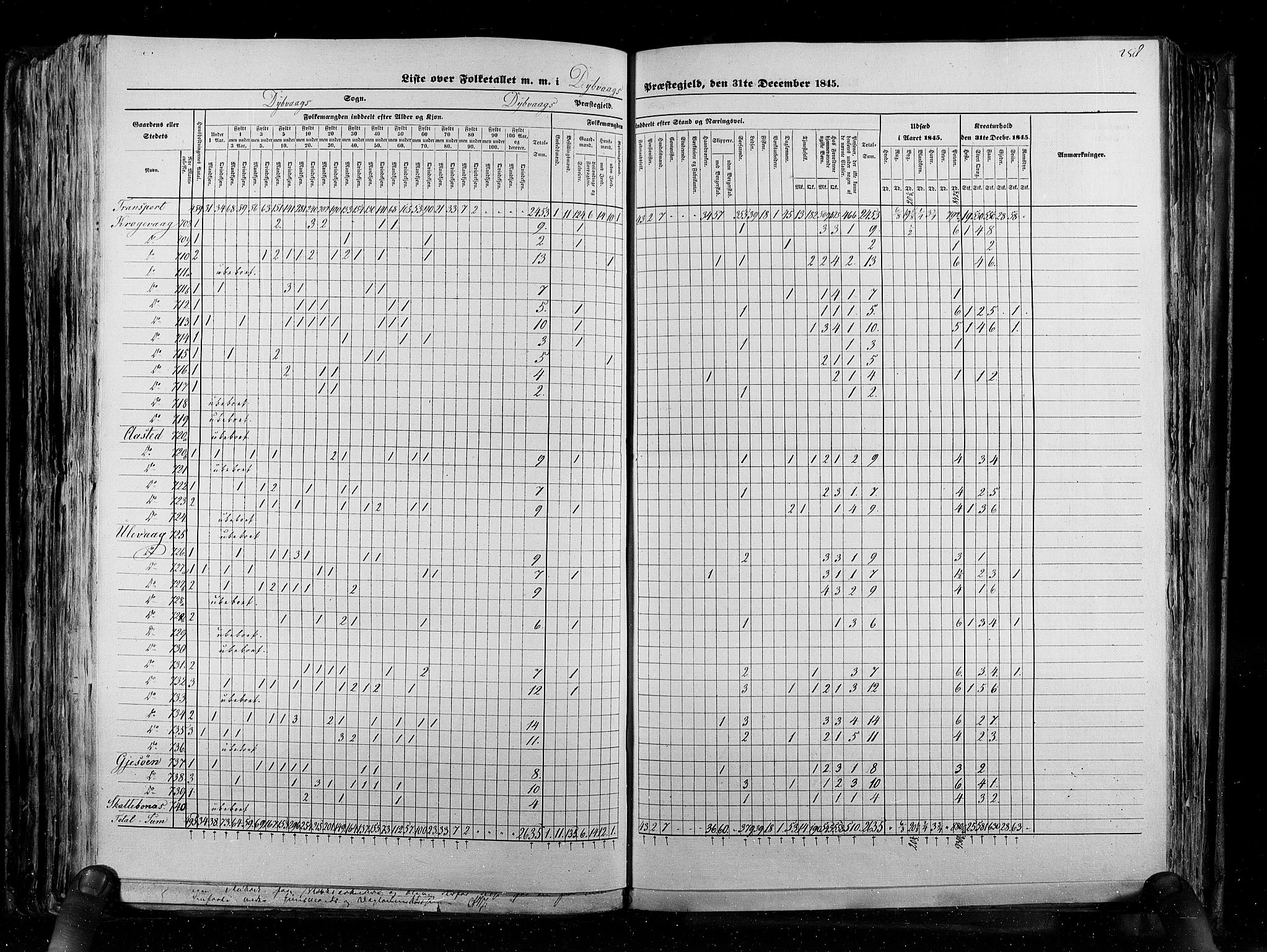 RA, Census 1845, vol. 5: Bratsberg amt og Nedenes og Råbyggelaget amt, 1845, p. 258