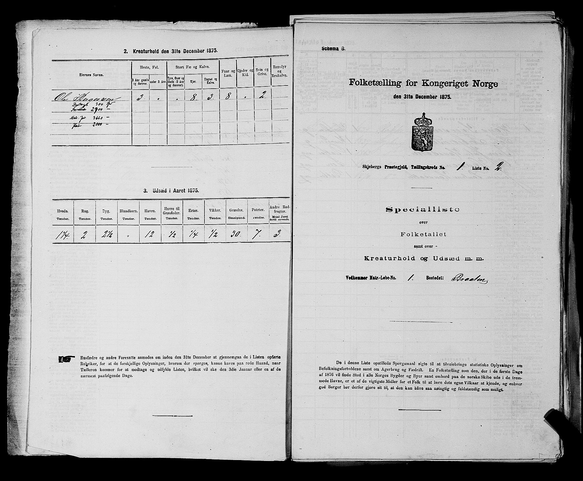 RA, 1875 census for 0115P Skjeberg, 1875, p. 31