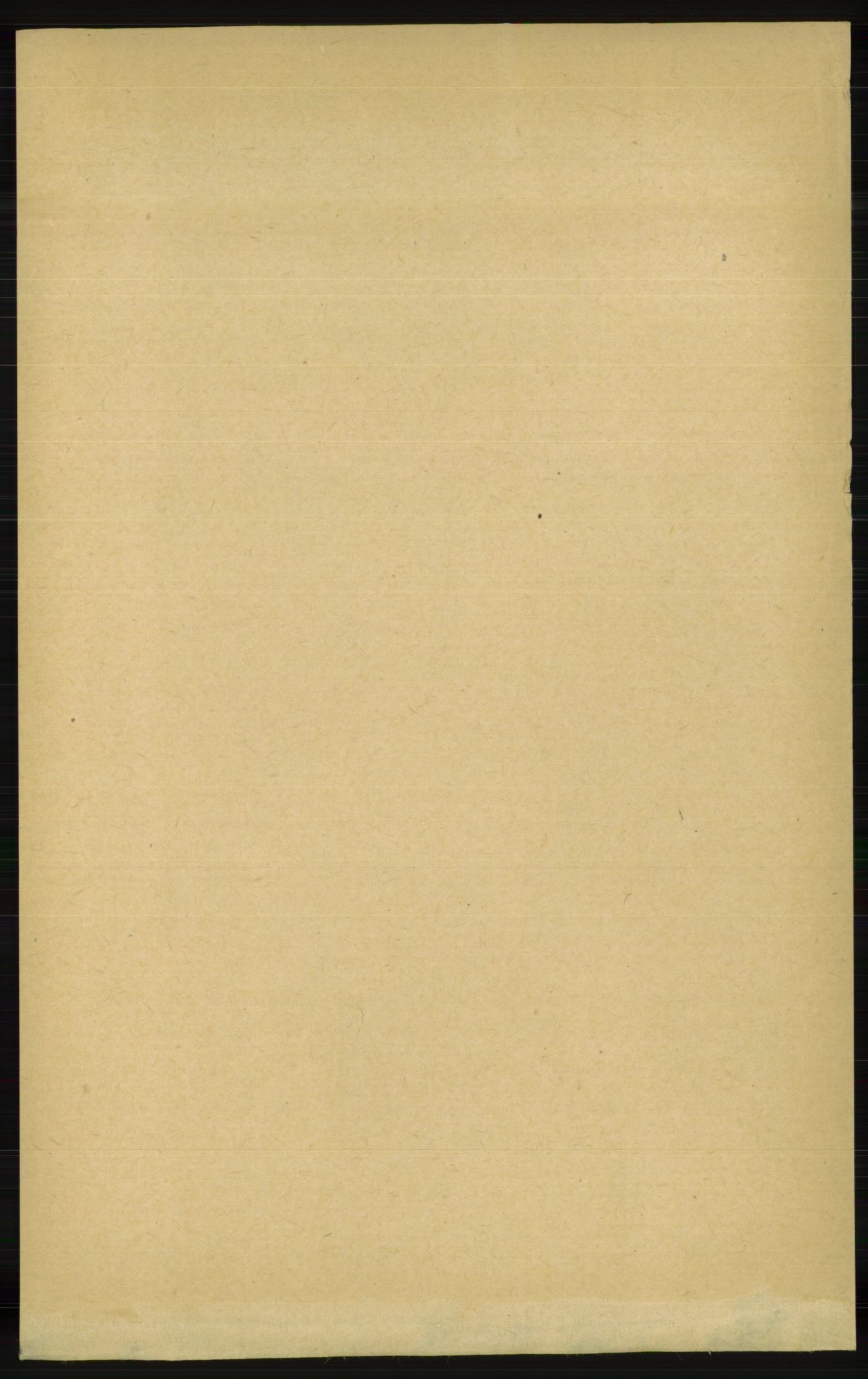 RA, 1891 census for 1029 Sør-Audnedal, 1891, p. 1407