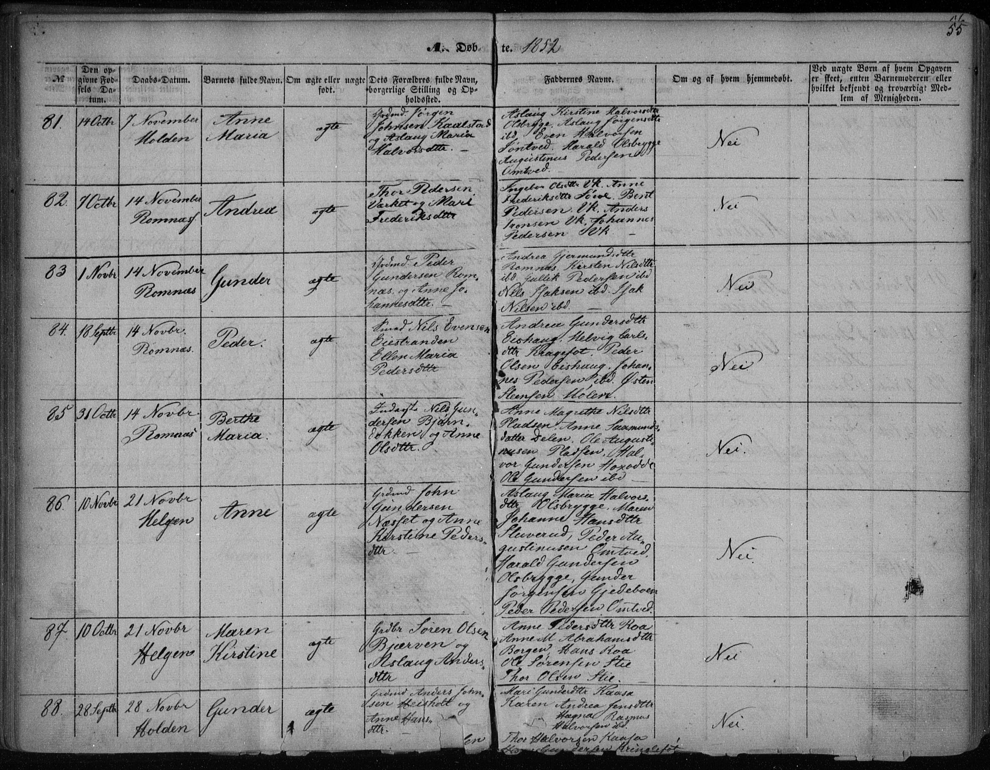 Holla kirkebøker, AV/SAKO-A-272/F/Fa/L0005: Parish register (official) no. 5, 1849-1860, p. 55