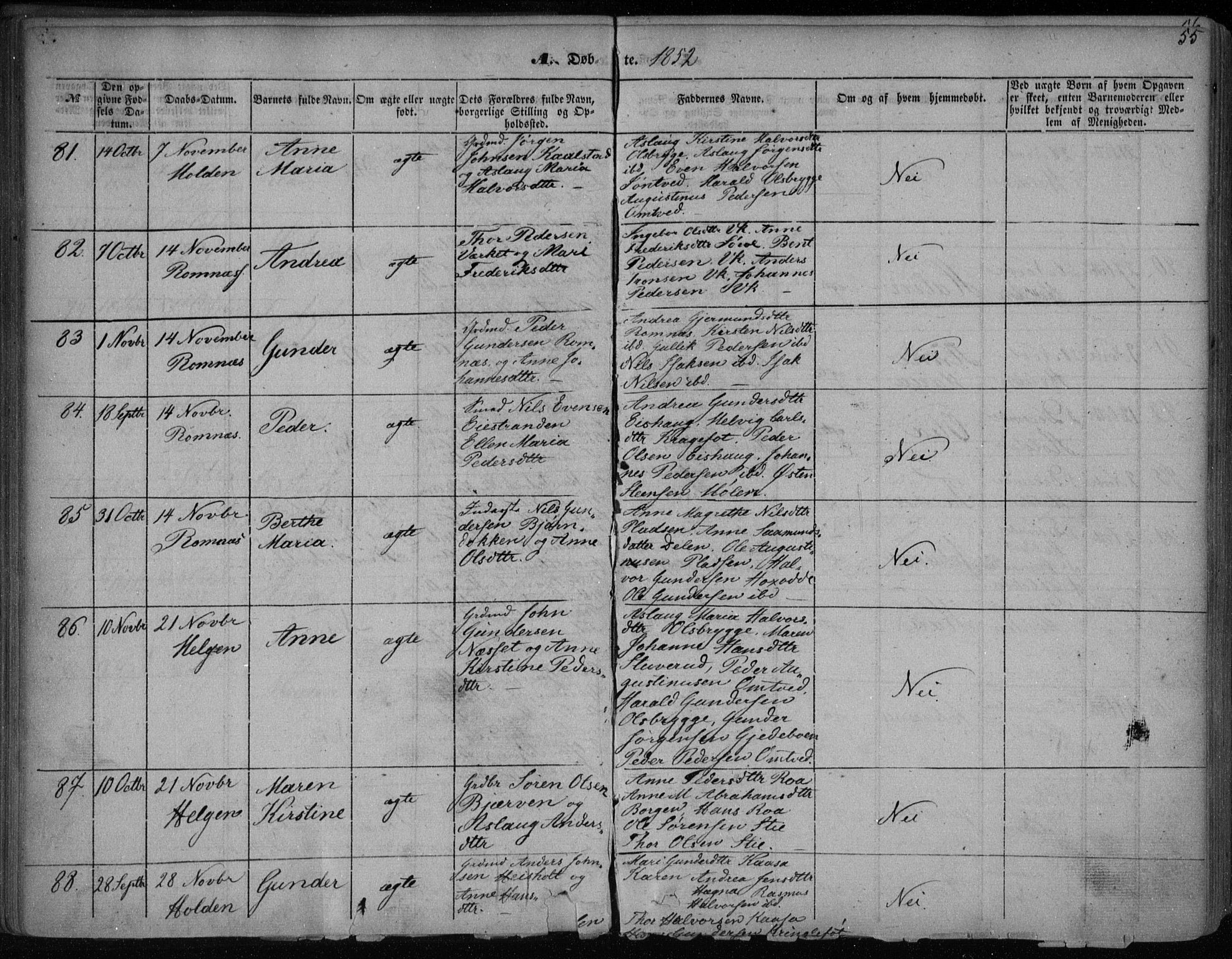 Holla kirkebøker, AV/SAKO-A-272/F/Fa/L0005: Parish register (official) no. 5, 1849-1860, p. 55