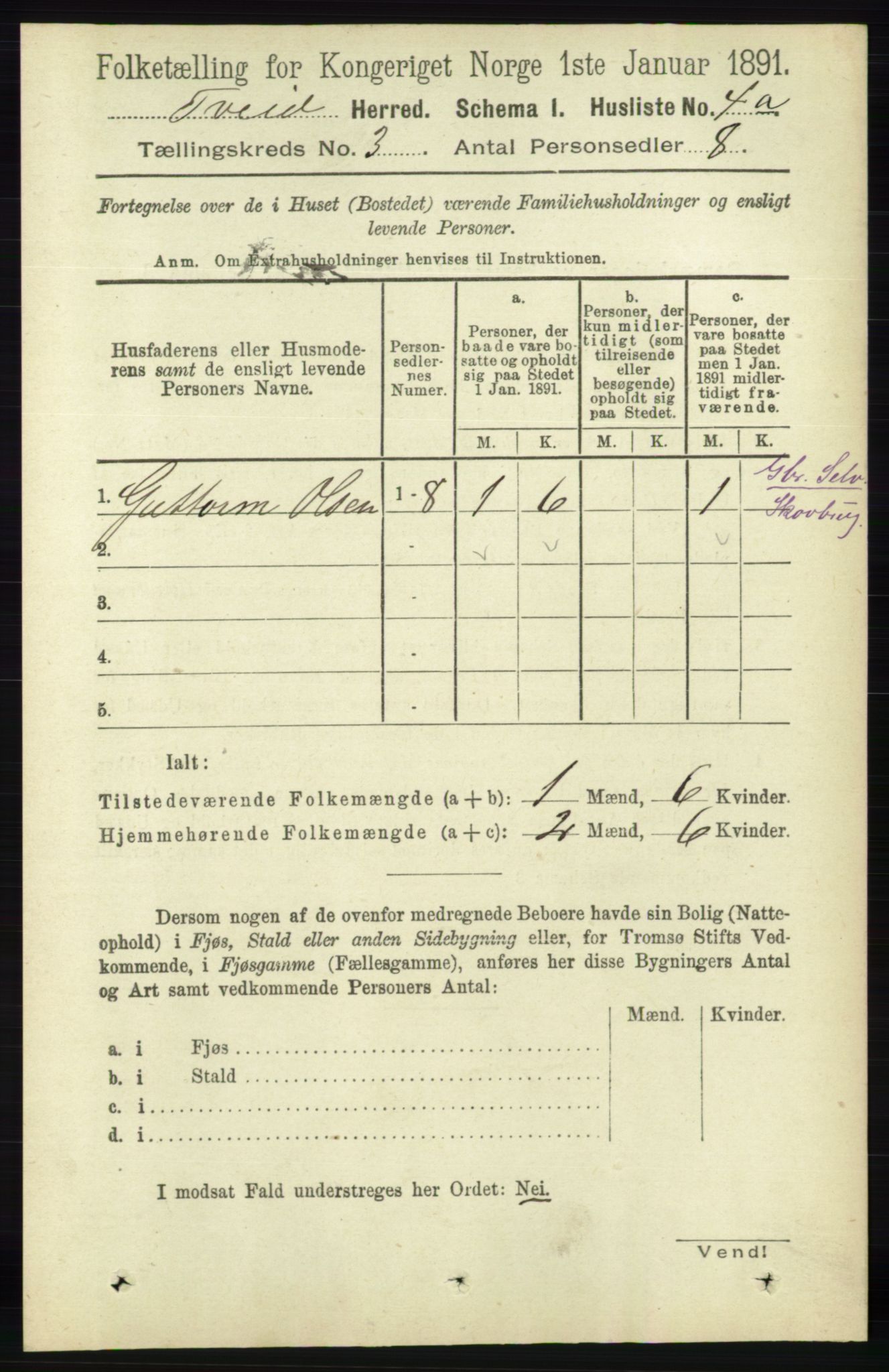 RA, 1891 census for 1013 Tveit, 1891, p. 1091