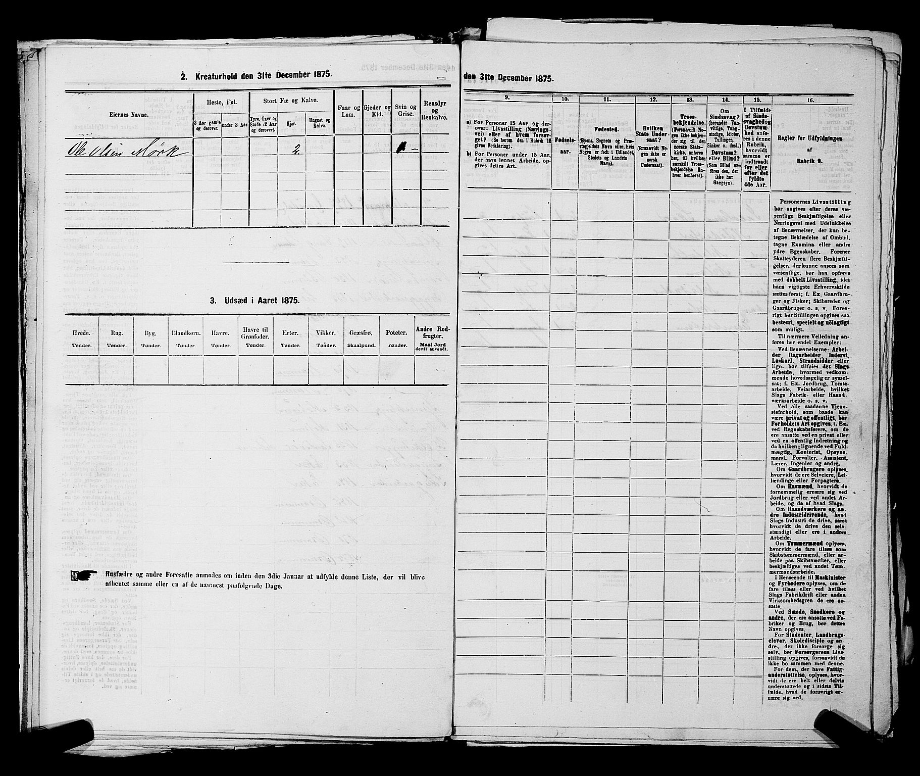 SAKO, 1875 census for 0602 Drammen, 1875, p. 1876