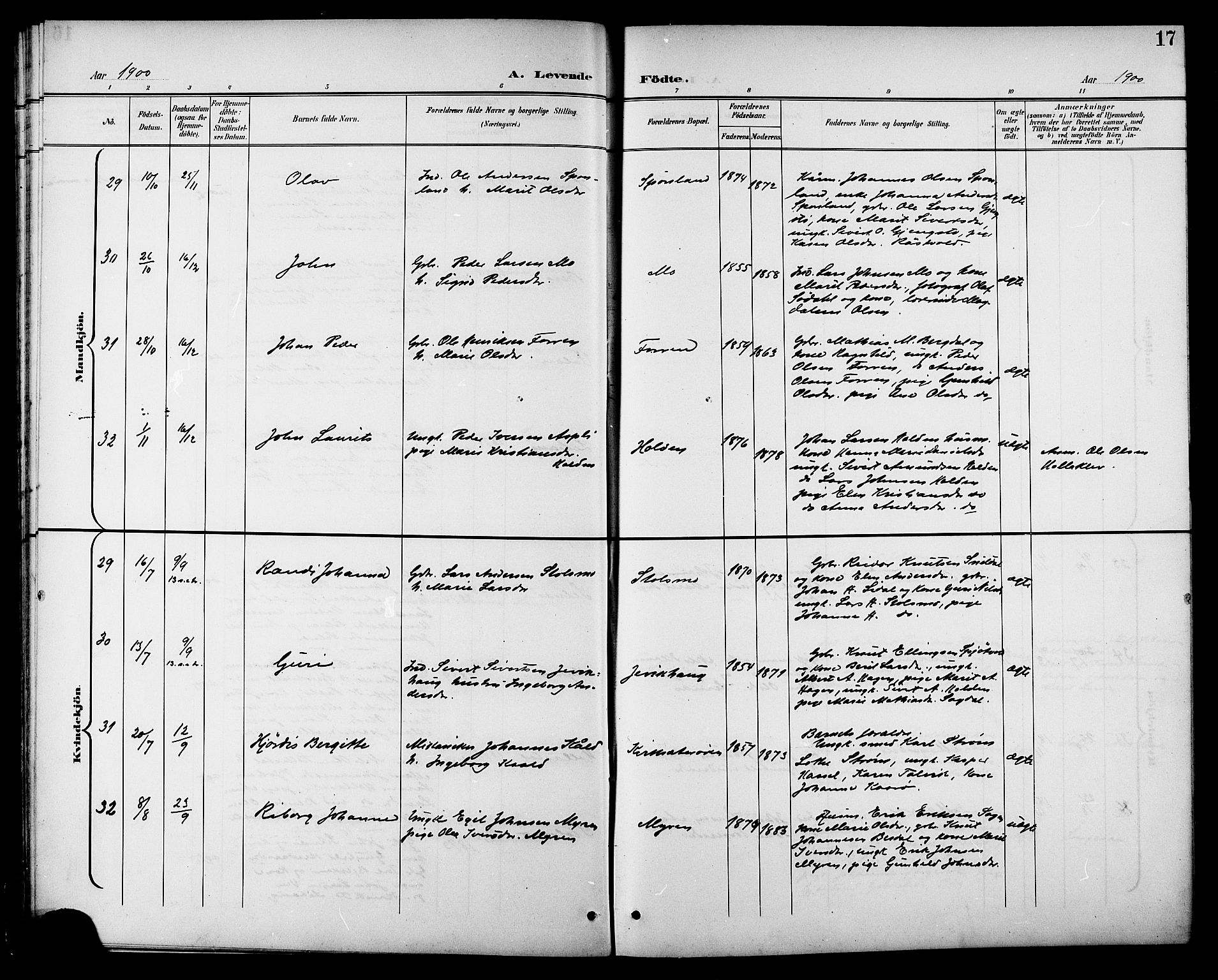 Ministerialprotokoller, klokkerbøker og fødselsregistre - Sør-Trøndelag, AV/SAT-A-1456/630/L0505: Parish register (copy) no. 630C03, 1899-1914, p. 17