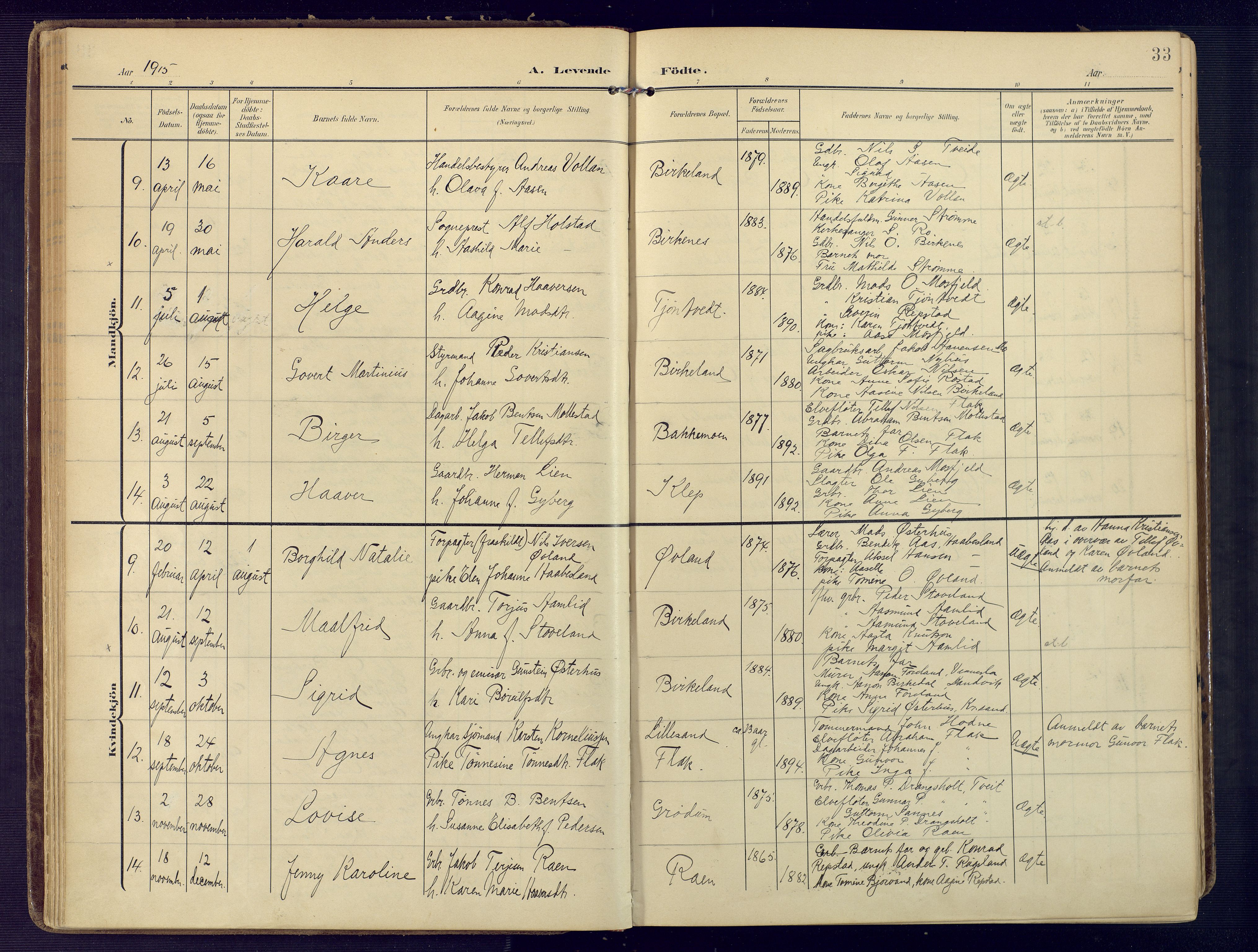 Birkenes sokneprestkontor, AV/SAK-1111-0004/F/Fa/L0006: Parish register (official) no. A 6, 1908-1932, p. 33