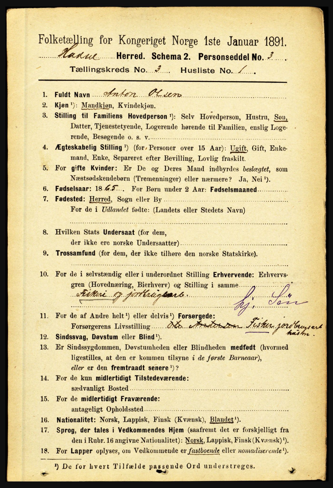 RA, 1891 census for 1866 Hadsel, 1891, p. 1084