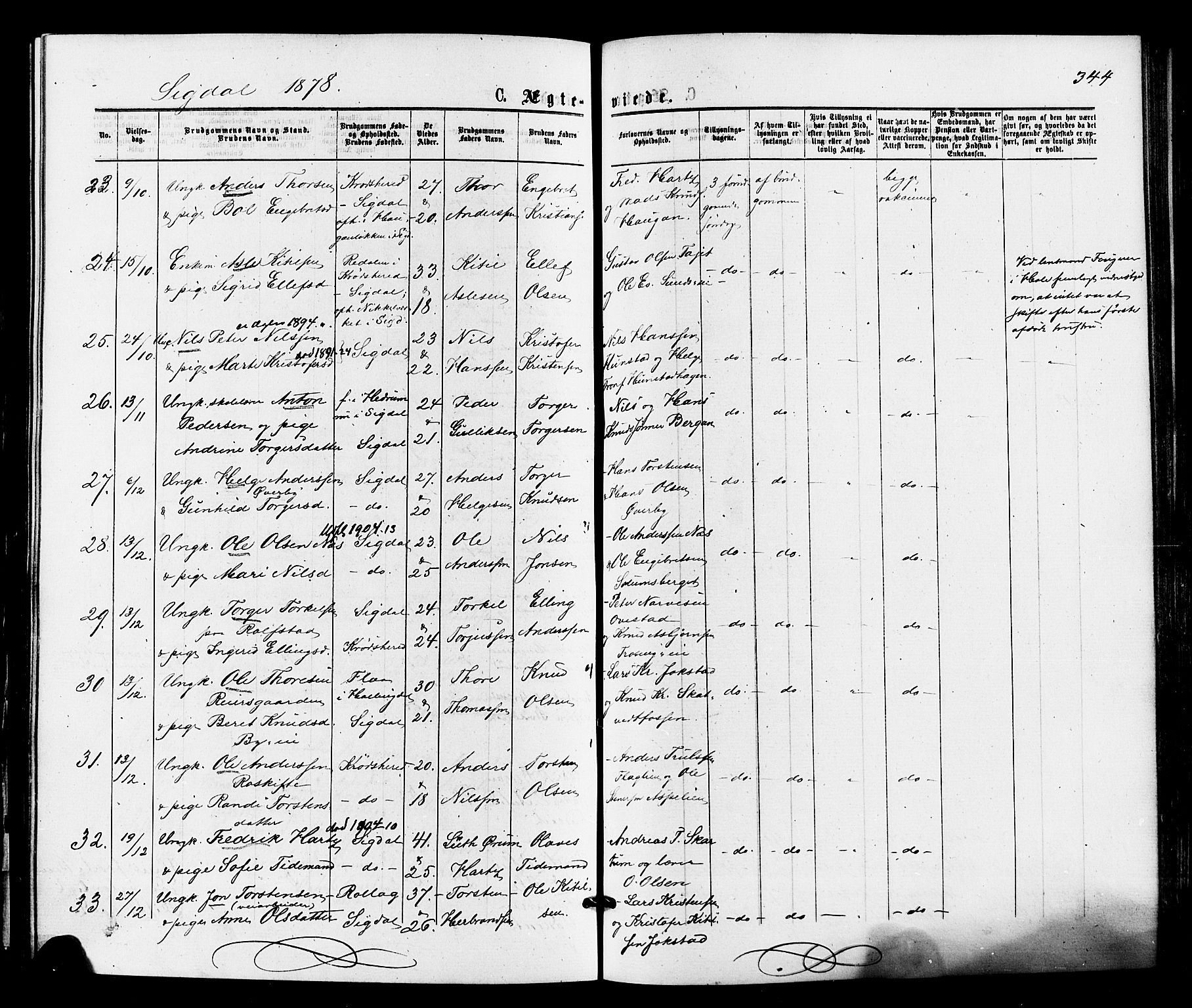 Sigdal kirkebøker, AV/SAKO-A-245/F/Fa/L0010: Parish register (official) no. I 10 /1, 1872-1878, p. 344