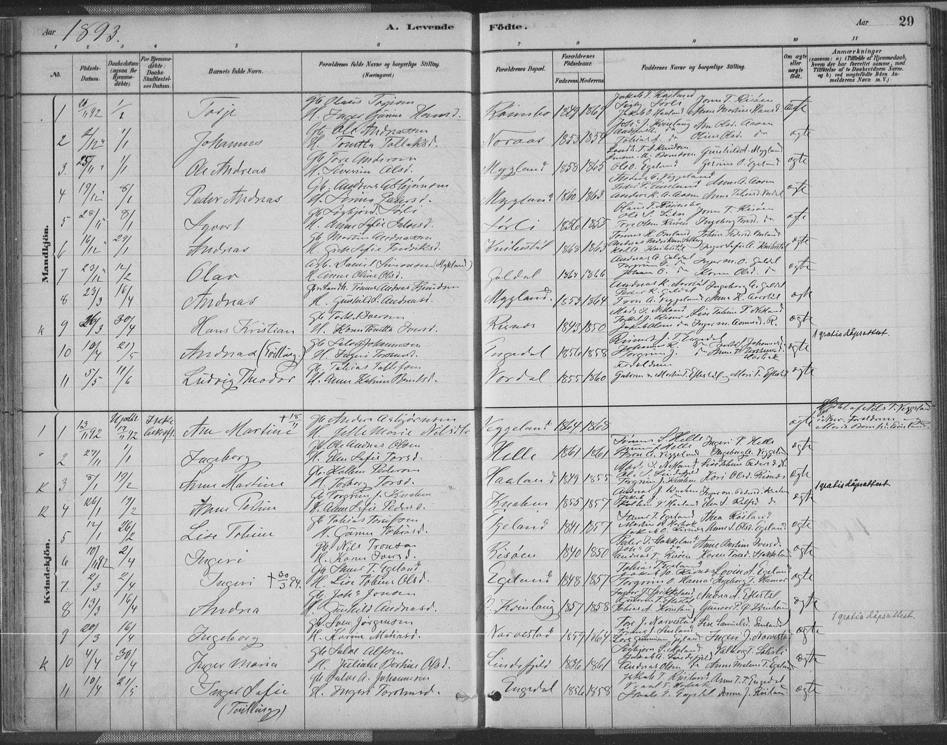 Fjotland sokneprestkontor, AV/SAK-1111-0010/F/Fa/L0002: Parish register (official) no. A 2, 1880-1898, p. 29