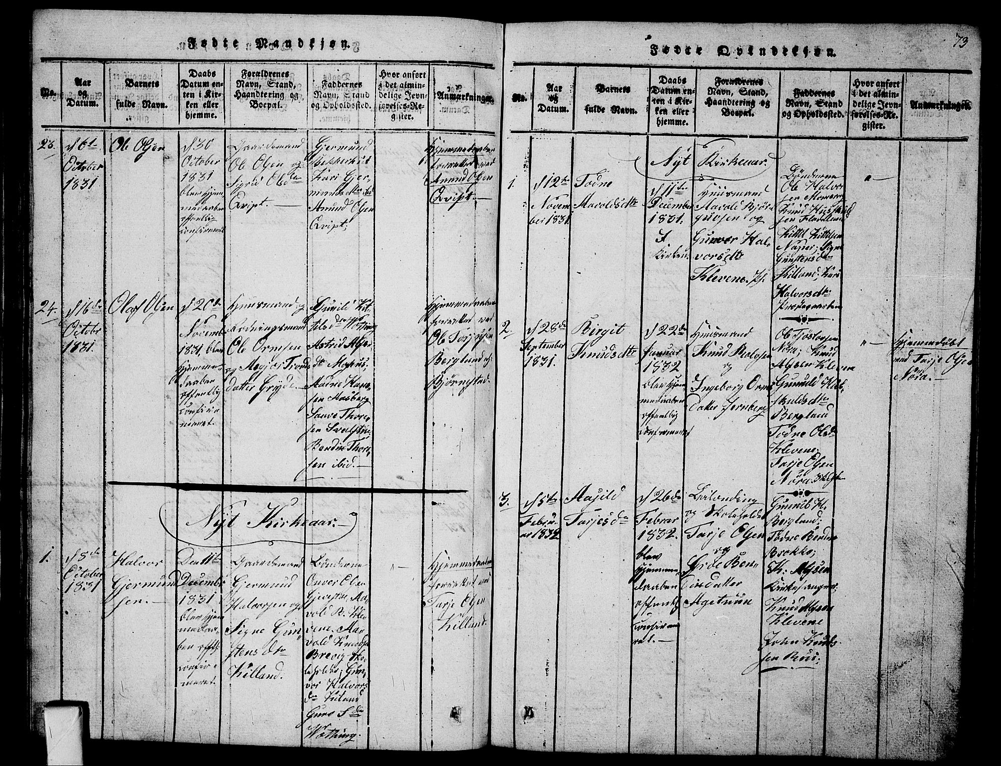 Fyresdal kirkebøker, SAKO/A-263/G/Ga/L0001: Parish register (copy) no. I 1, 1816-1840, p. 73