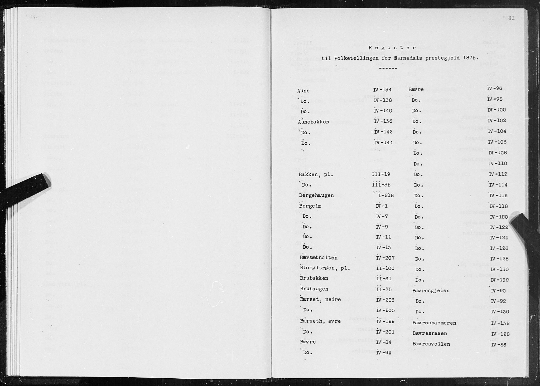 SAT, 1875 census for 1566P Surnadal, 1875, p. 41