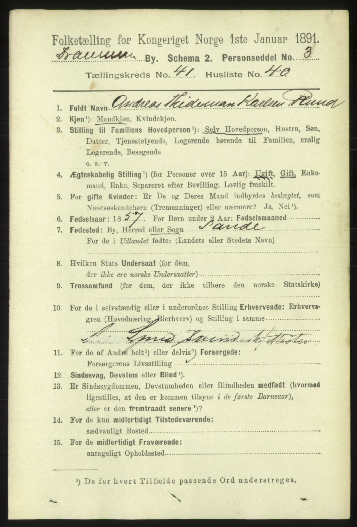 RA, 1891 census for 0602 Drammen, 1891, p. 24473