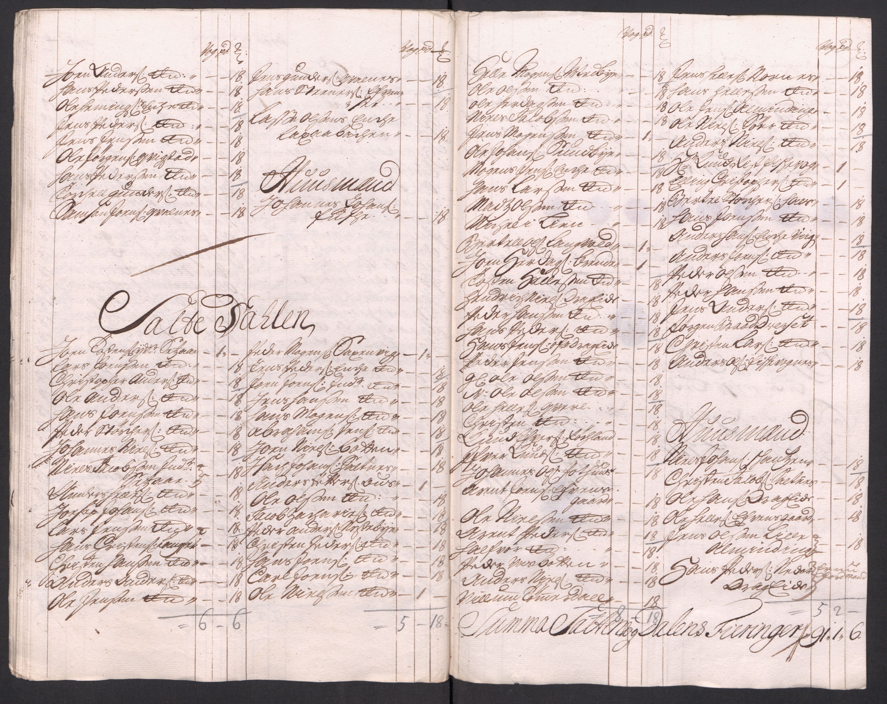 Rentekammeret inntil 1814, Reviderte regnskaper, Fogderegnskap, AV/RA-EA-4092/R66/L4587: Fogderegnskap Salten, 1717, p. 251