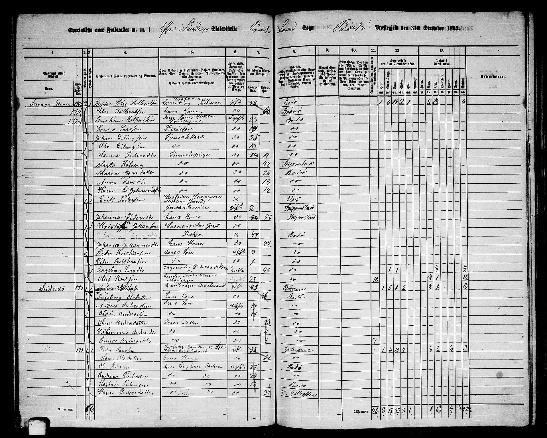 RA, 1865 census for Bodø/Bodø, 1865, p. 96