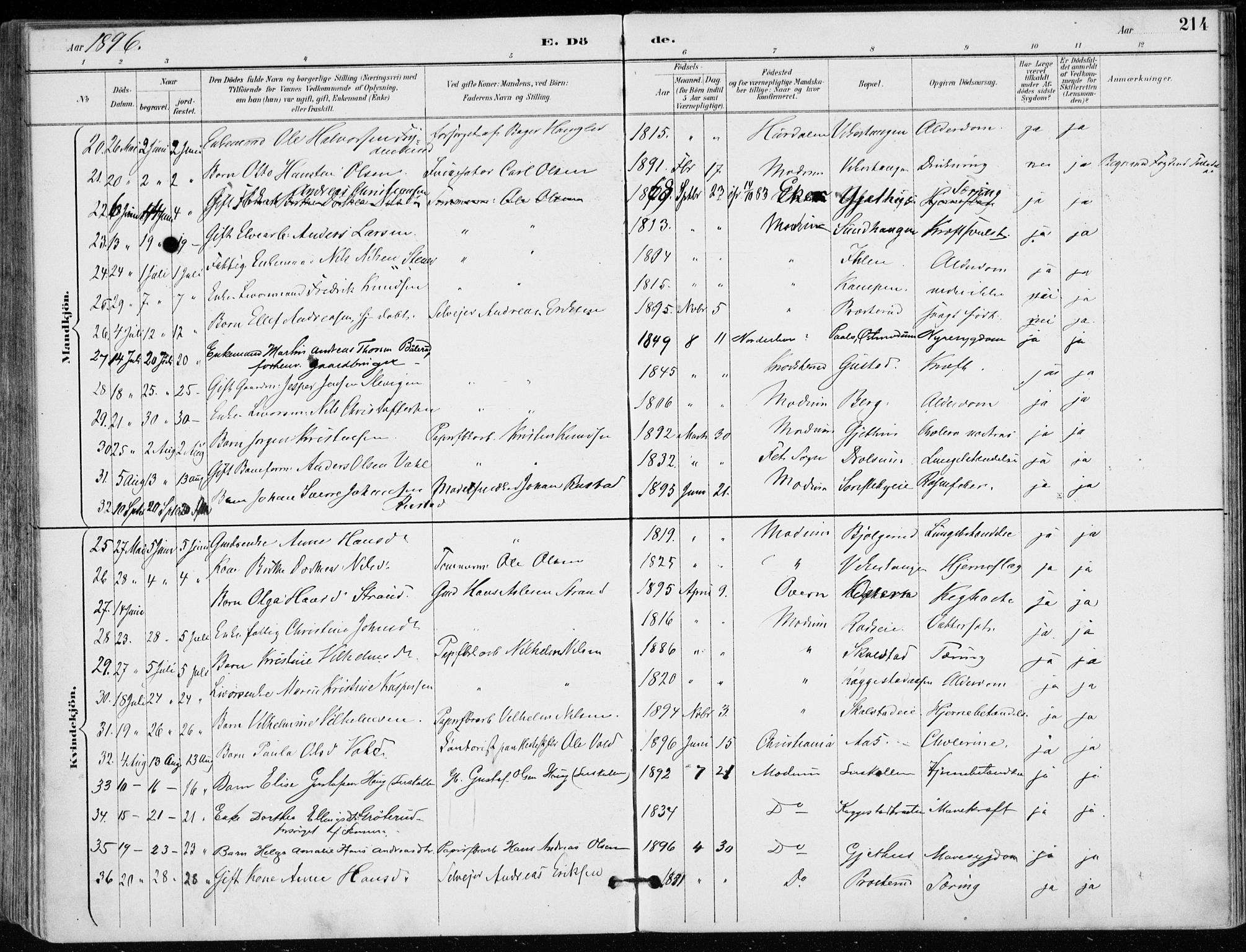 Modum kirkebøker, AV/SAKO-A-234/F/Fa/L0012: Parish register (official) no. 12, 1890-1898, p. 214