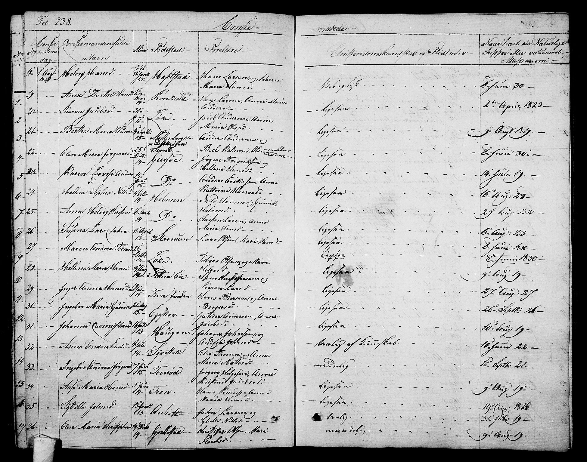 Stokke kirkebøker, AV/SAKO-A-320/F/Fa/L0006: Parish register (official) no. I 6, 1826-1843, p. 238