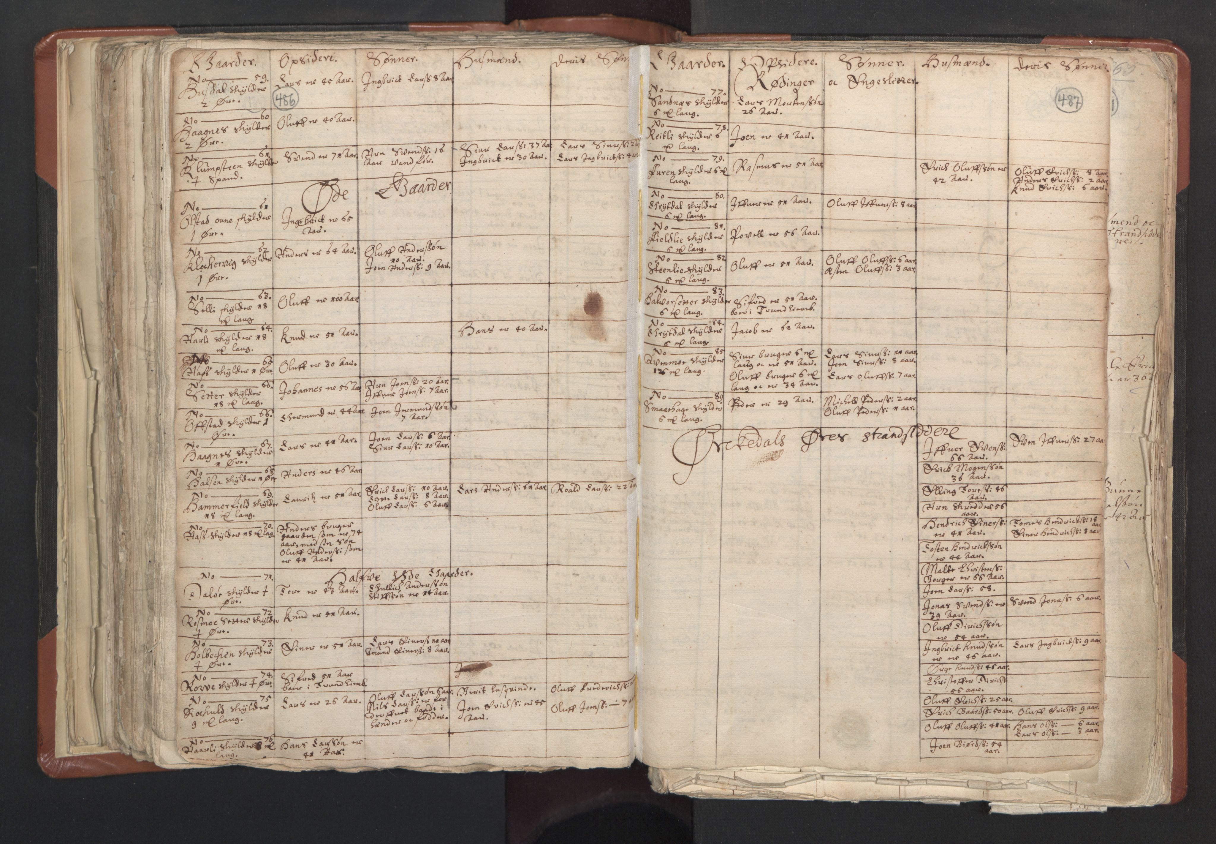 RA, Vicar's Census 1664-1666, no. 31: Dalane deanery, 1664-1666, p. 486-487