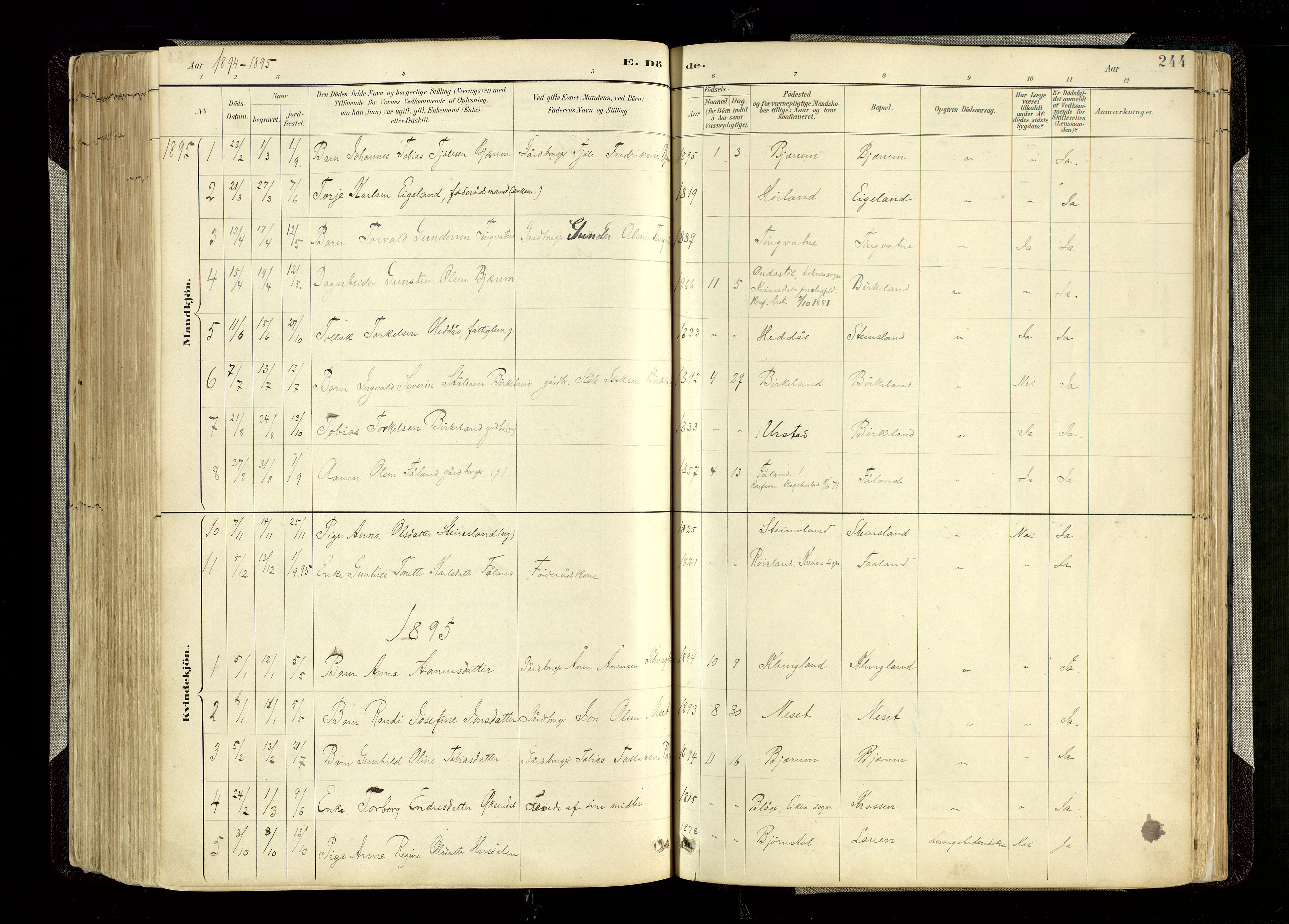 Hægebostad sokneprestkontor, AV/SAK-1111-0024/F/Fa/Faa/L0006: Parish register (official) no. A 6, 1887-1929, p. 244