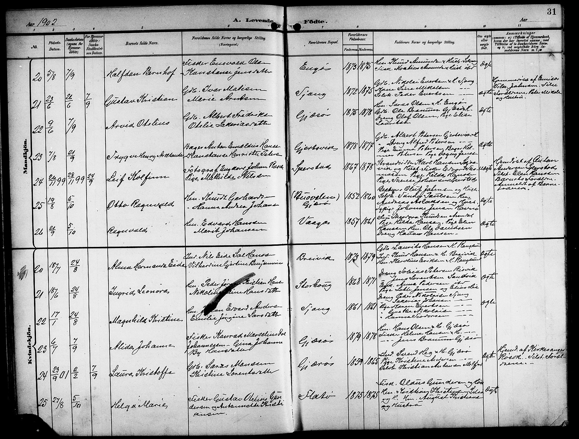 Ministerialprotokoller, klokkerbøker og fødselsregistre - Nordland, AV/SAT-A-1459/841/L0621: Parish register (copy) no. 841C05, 1897-1923, p. 31