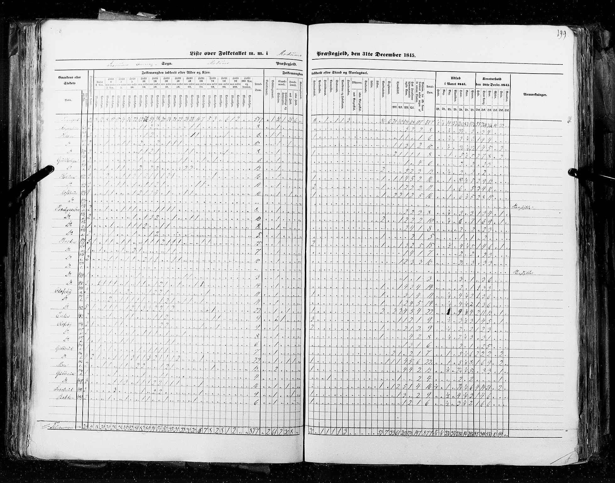 RA, Census 1845, vol. 4: Buskerud amt og Jarlsberg og Larvik amt, 1845, p. 199