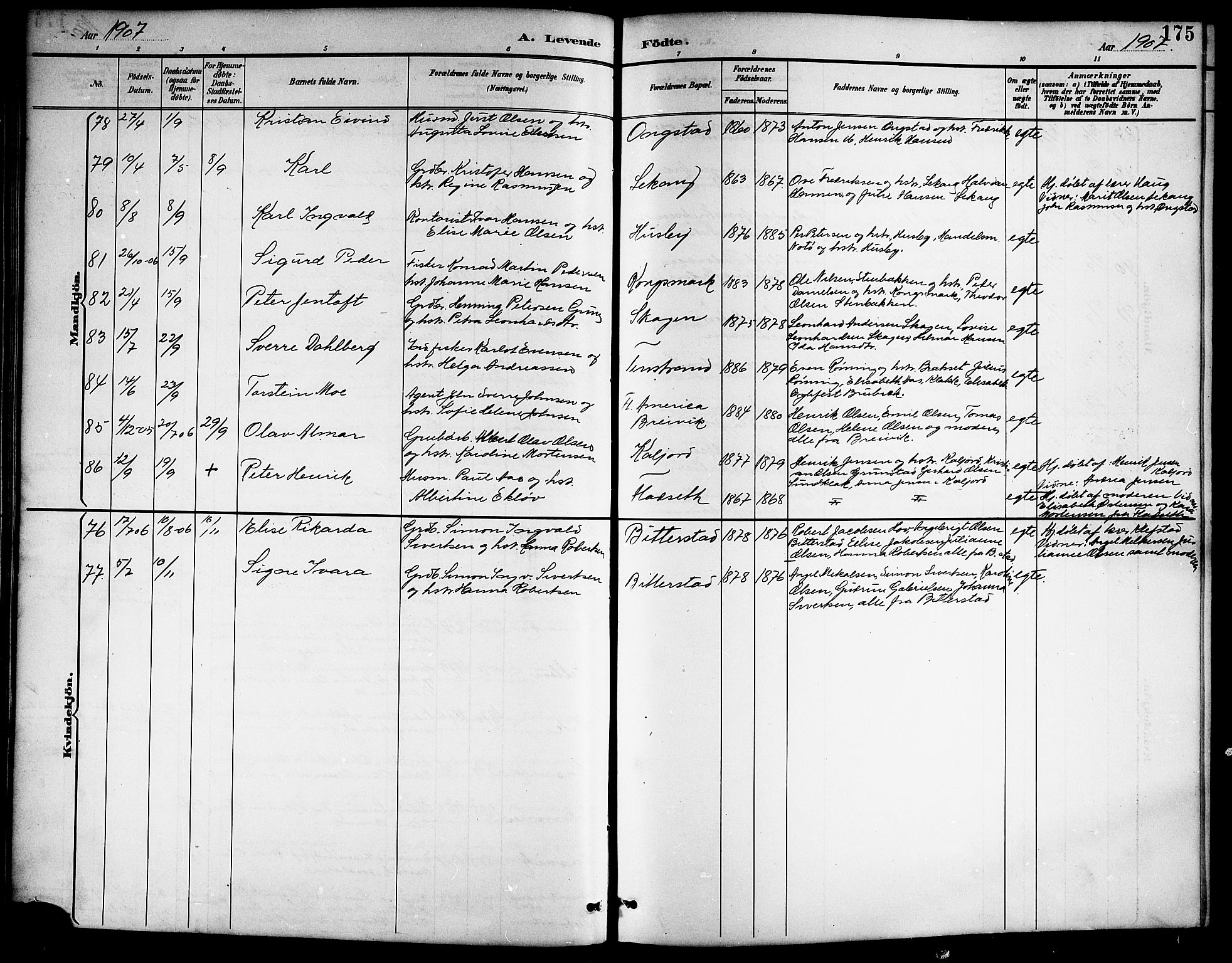 Ministerialprotokoller, klokkerbøker og fødselsregistre - Nordland, AV/SAT-A-1459/888/L1268: Parish register (copy) no. 888C06, 1891-1908, p. 175