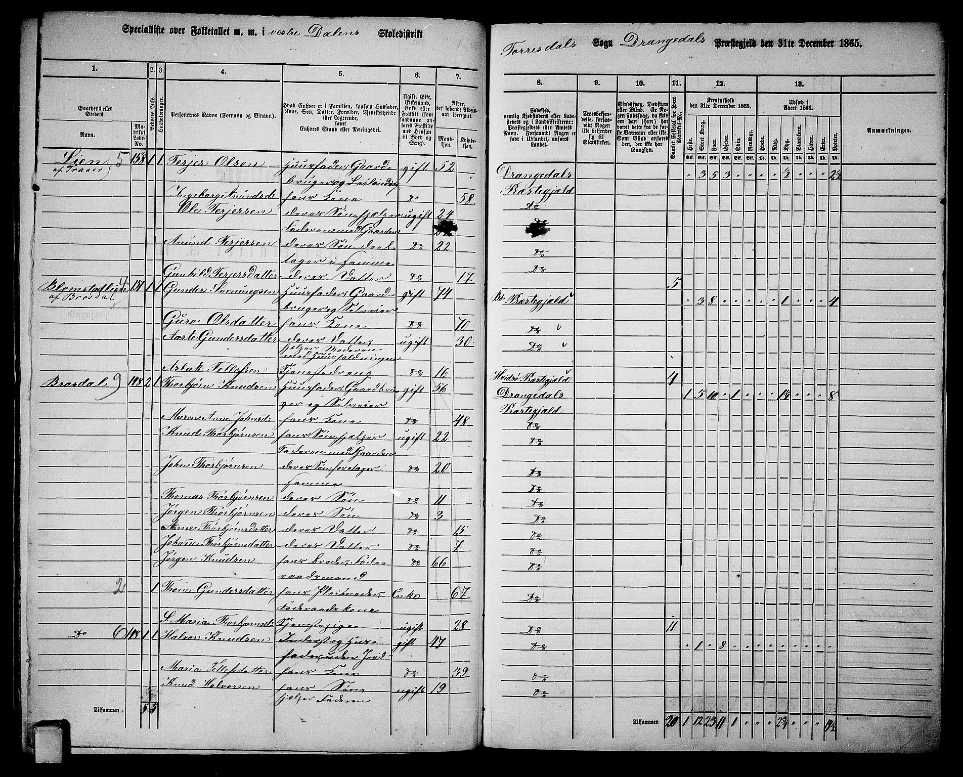 RA, 1865 census for Drangedal, 1865, p. 134
