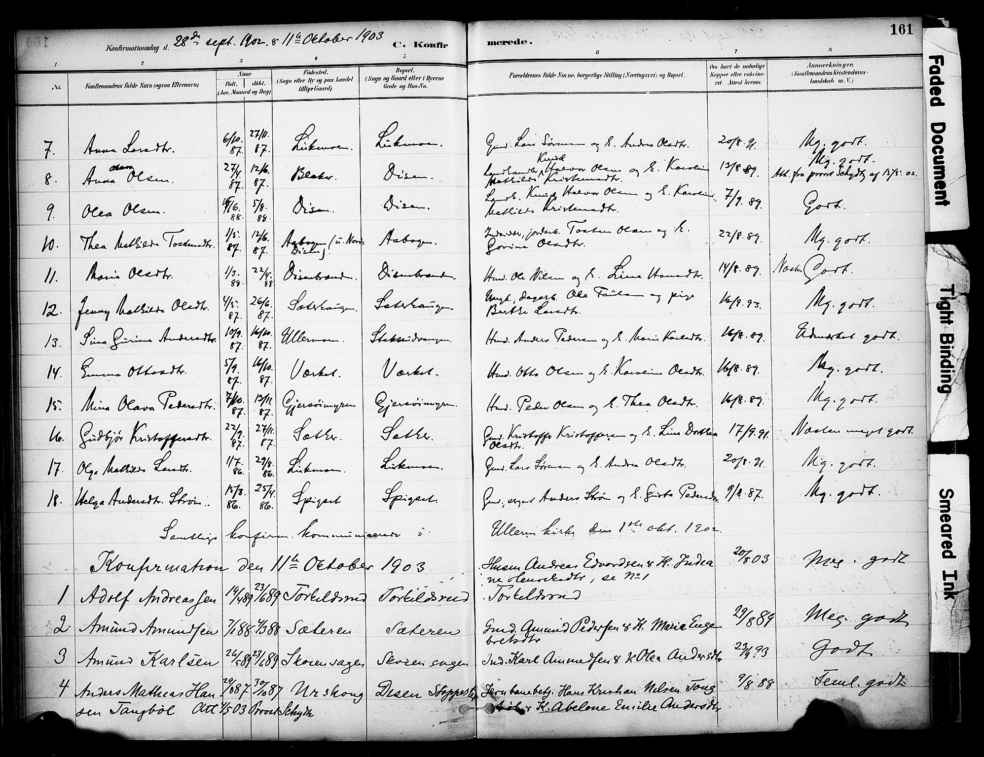 Sør-Odal prestekontor, AV/SAH-PREST-030/H/Ha/Haa/L0008: Parish register (official) no. 8, 1886-1922, p. 161