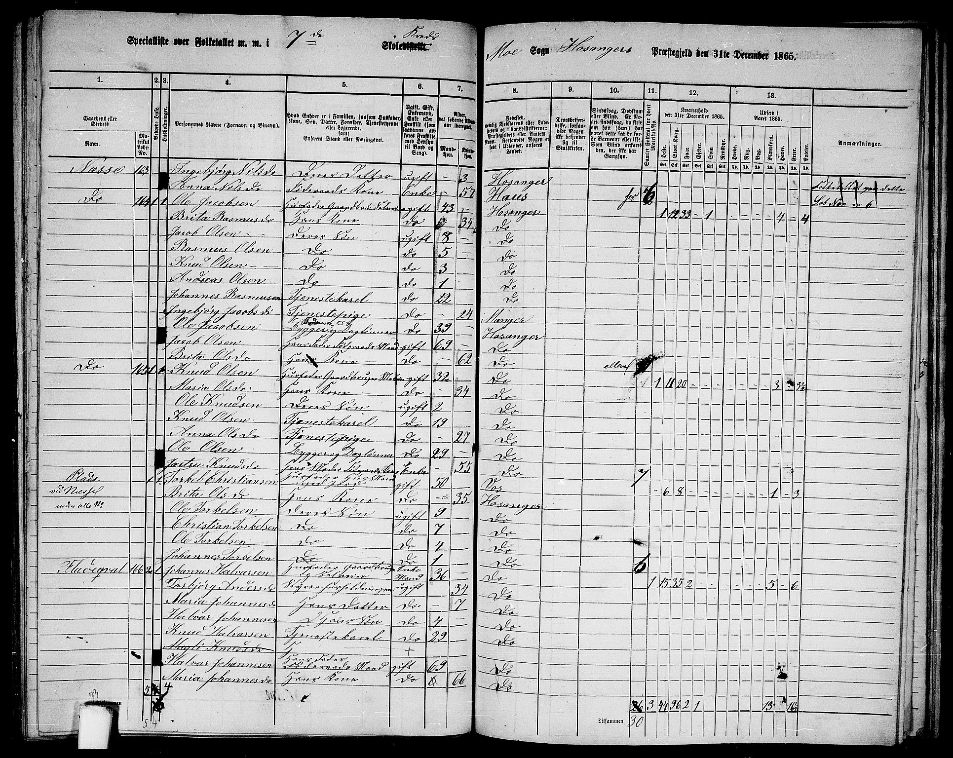 RA, 1865 census for Hosanger, 1865, p. 141