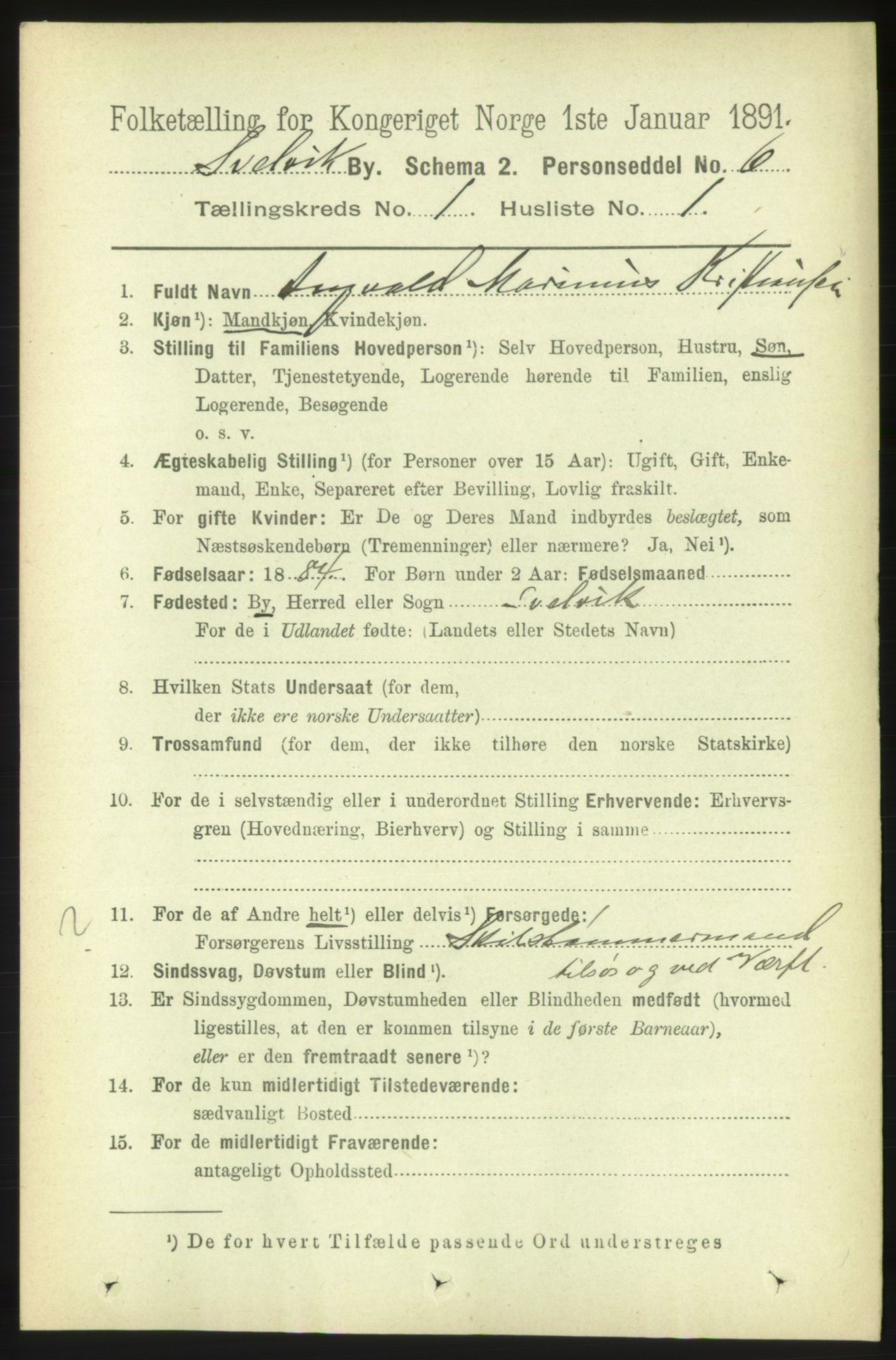 RA, 1891 census for 0701 Svelvik, 1891, p. 556