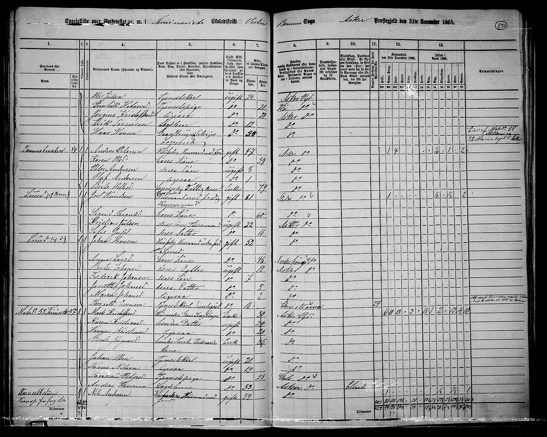 RA, 1865 census for Asker, 1865, p. 258