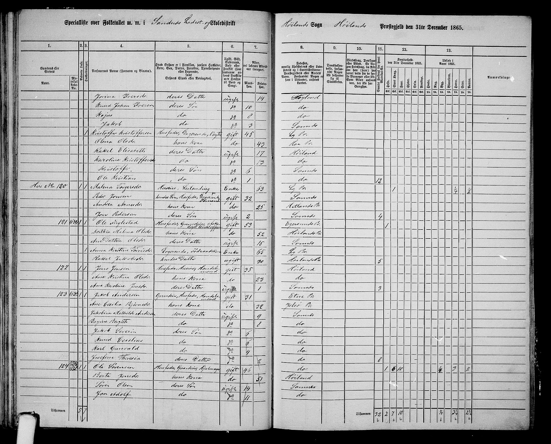 RA, 1865 census for Høyland, 1865, p. 180