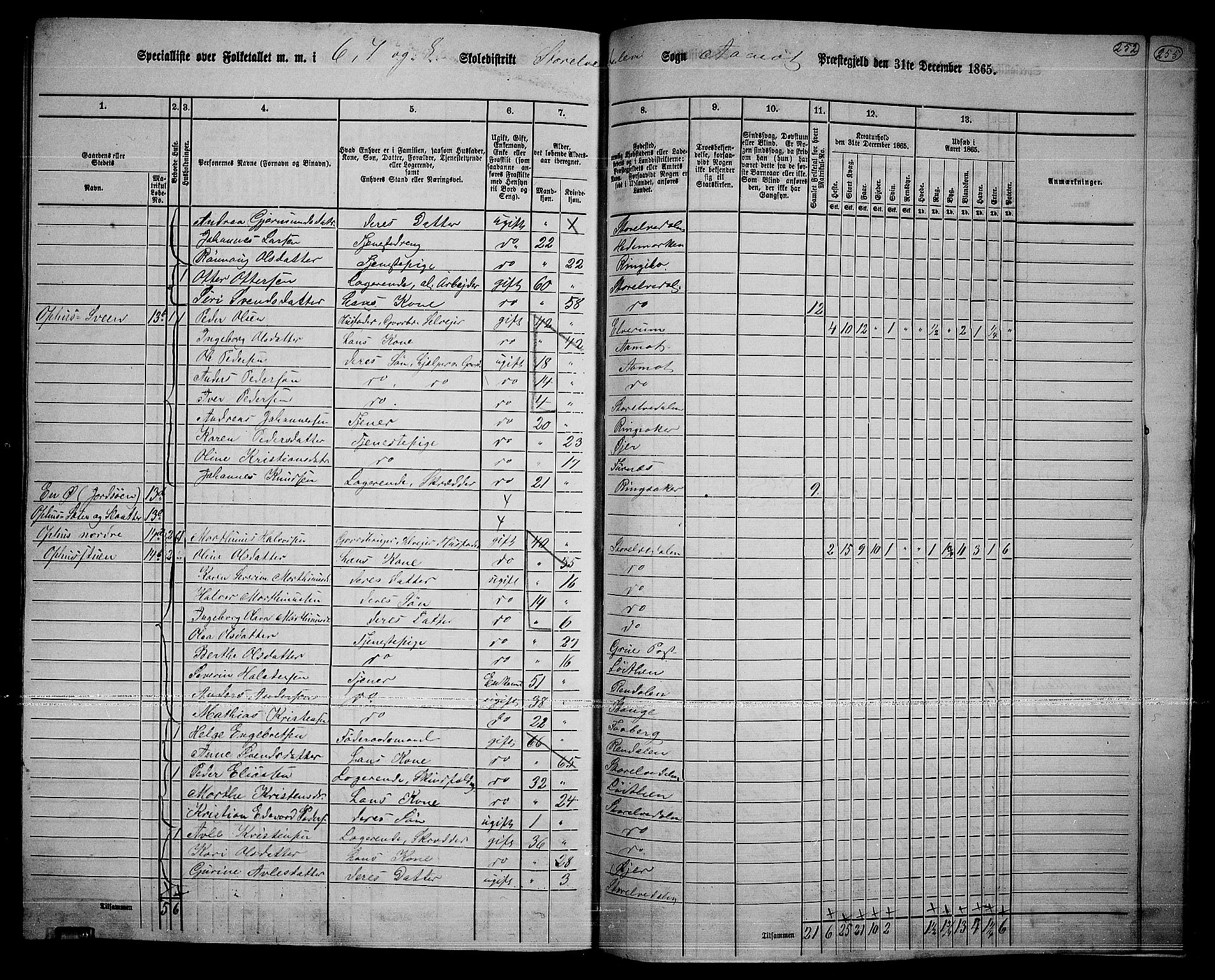 RA, 1865 census for Åmot, 1865, p. 220