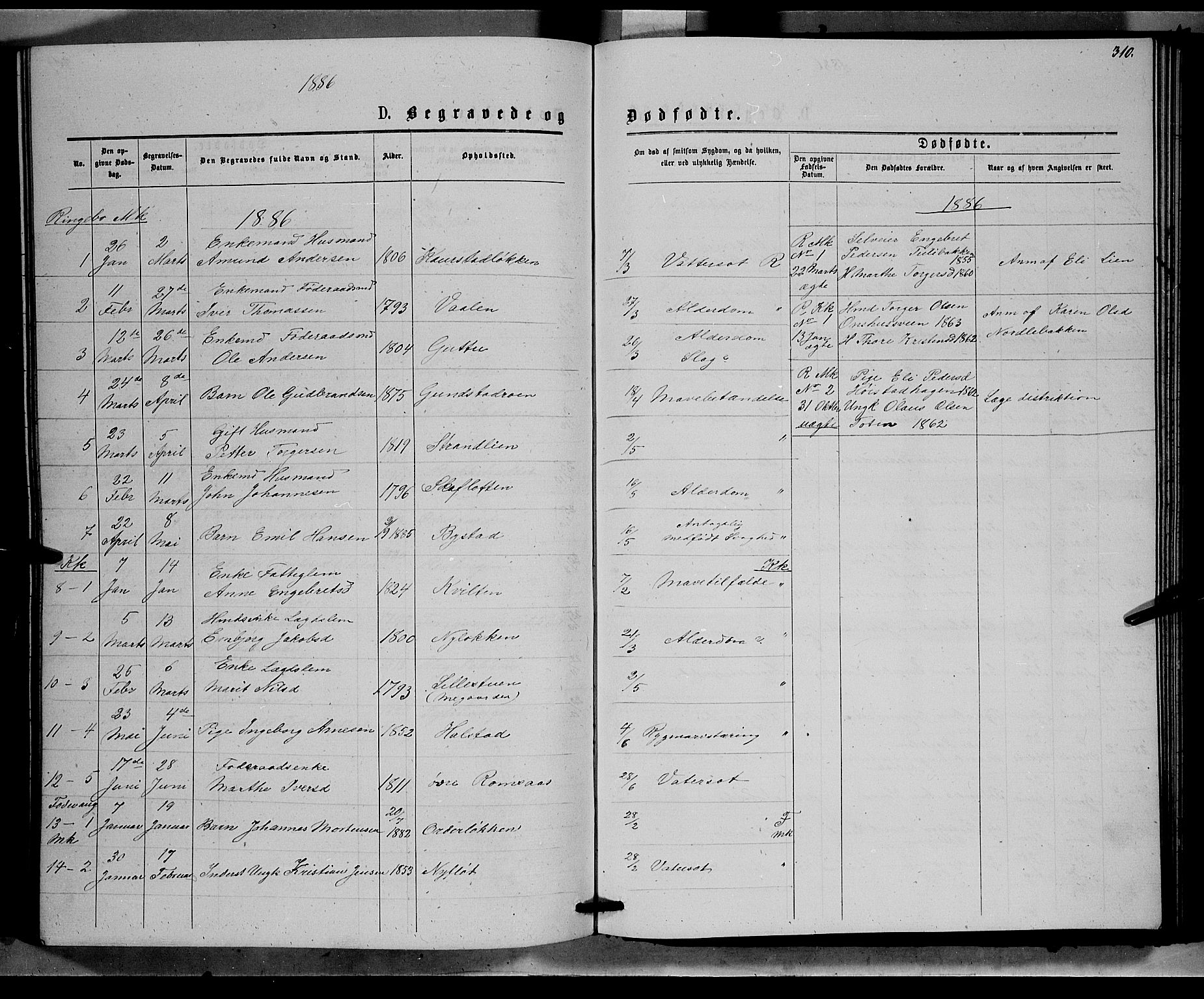 Ringebu prestekontor, SAH/PREST-082/H/Ha/Hab/L0006: Parish register (copy) no. 6, 1880-1898, p. 310