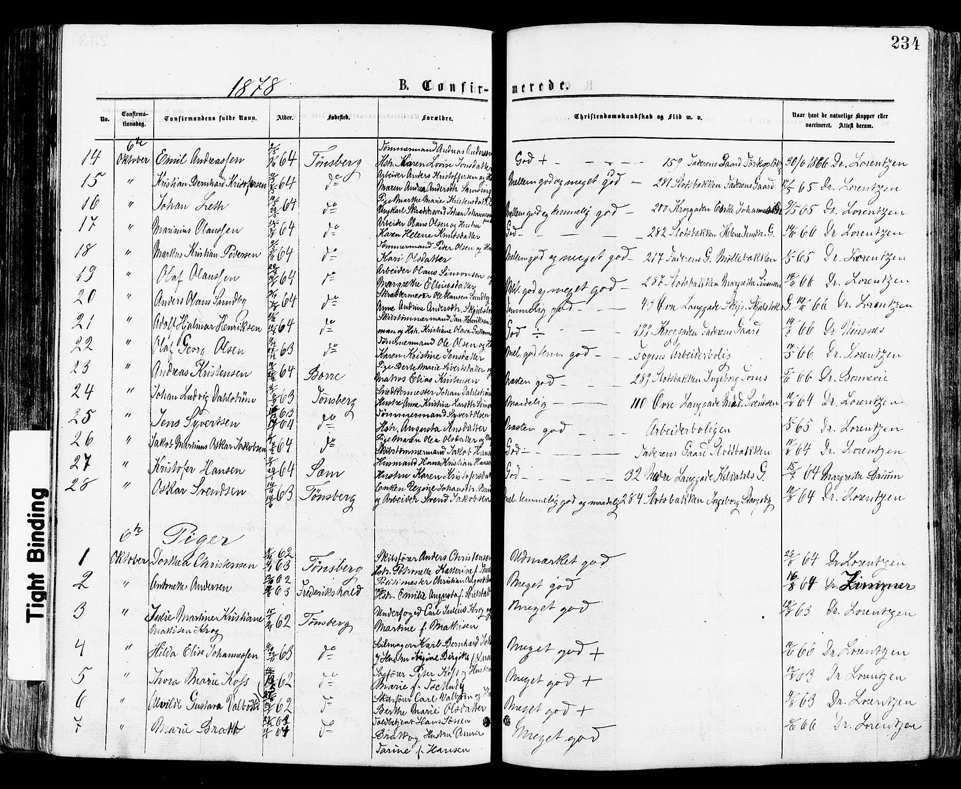 Tønsberg kirkebøker, AV/SAKO-A-330/F/Fa/L0010: Parish register (official) no. I 10, 1874-1880, p. 234