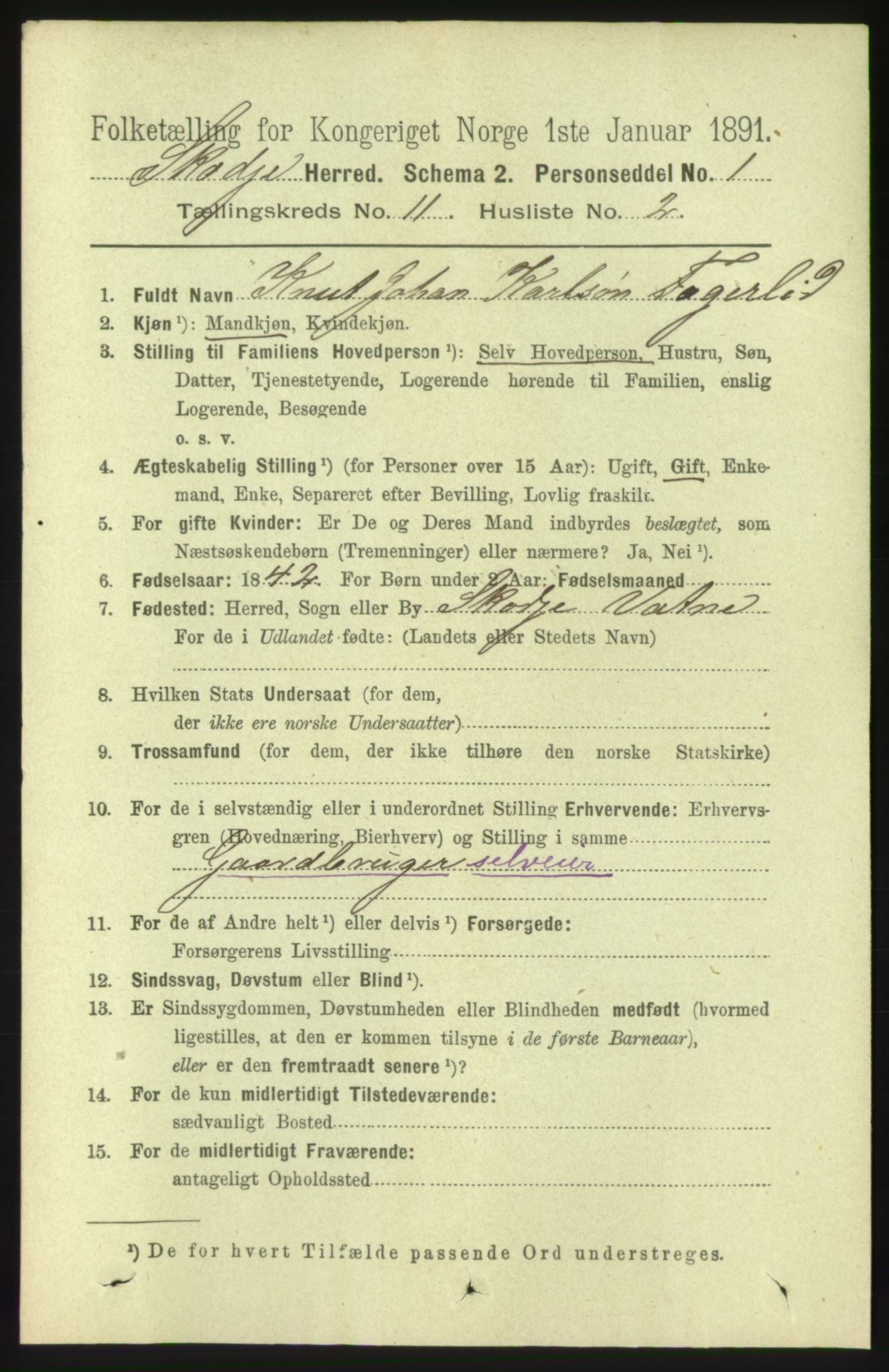 RA, 1891 census for 1529 Skodje, 1891, p. 2331