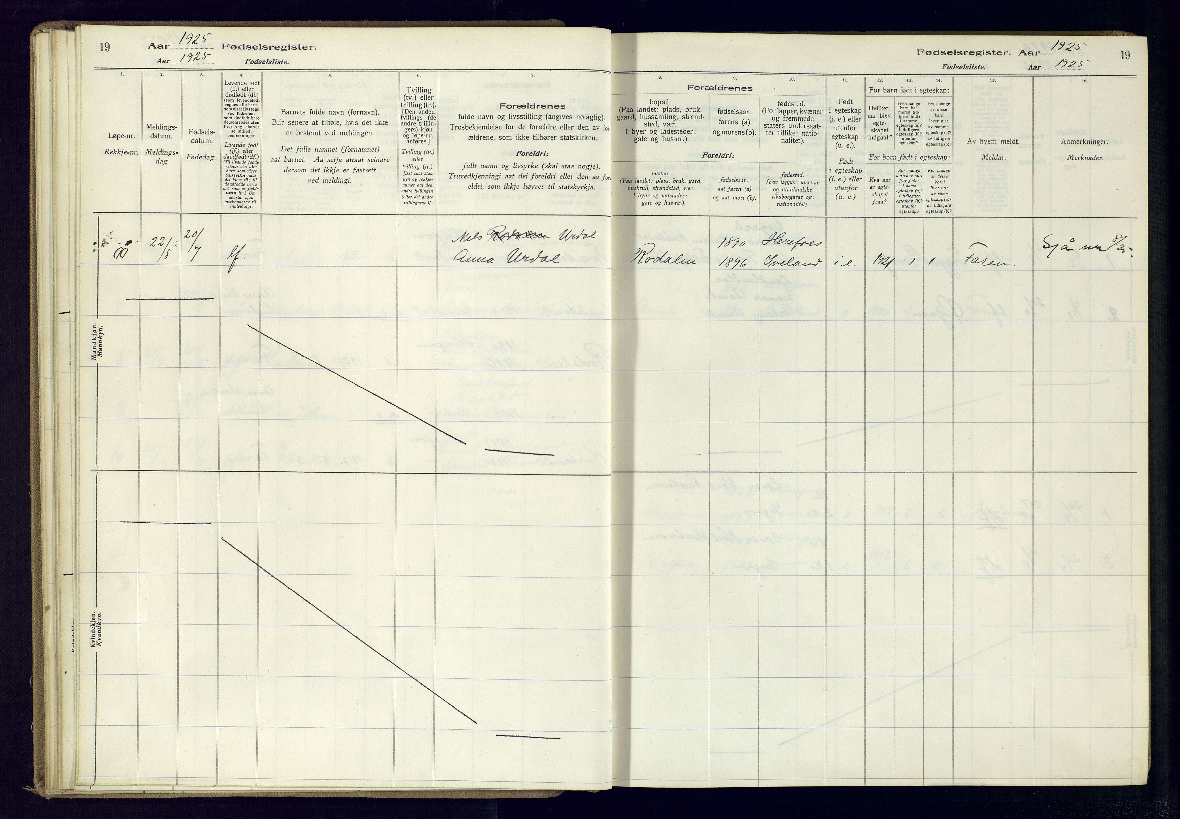 Herefoss sokneprestkontor, AV/SAK-1111-0019/J/Ja/L0001: Birth register no. II.6.10, 1916-1982, p. 19