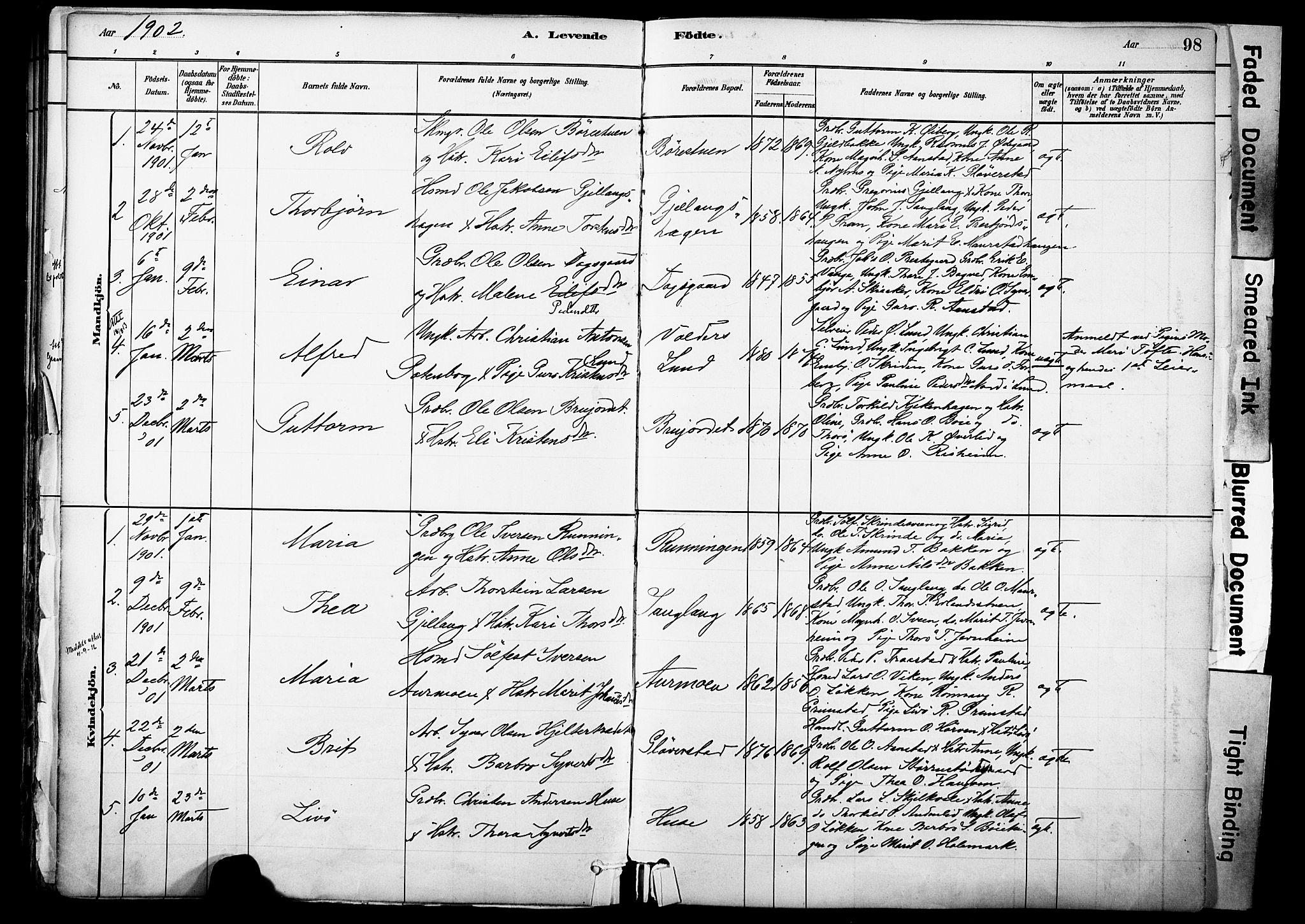 Skjåk prestekontor, SAH/PREST-072/H/Ha/Haa/L0003: Parish register (official) no. 3, 1880-1907, p. 98