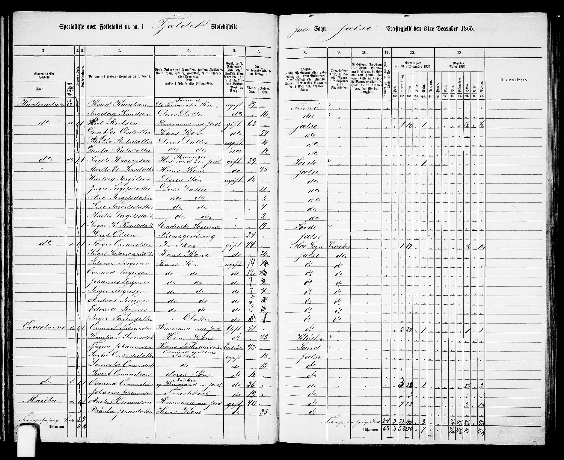 RA, 1865 census for Jelsa, 1865, p. 27