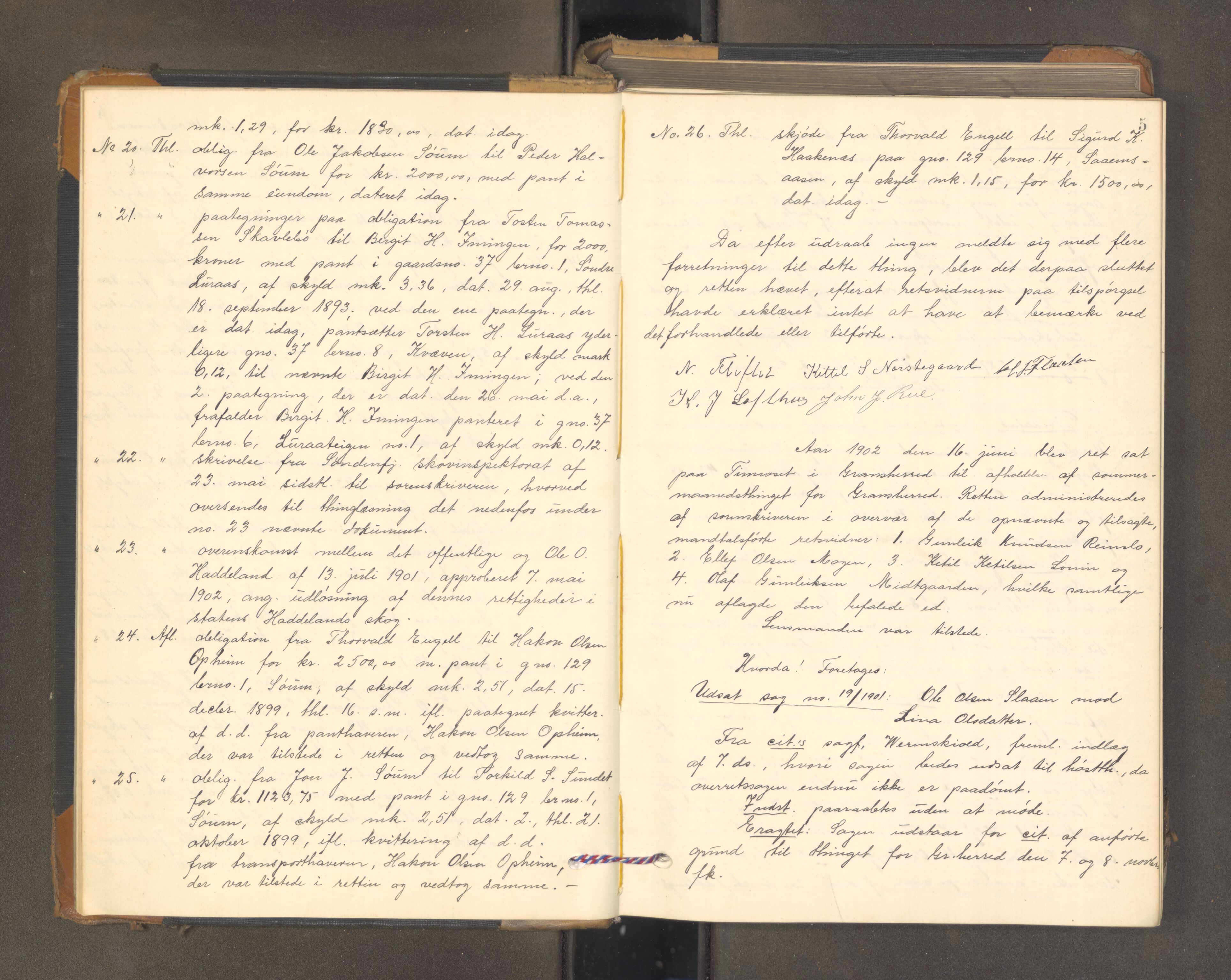 Øvre Telemark østfjelske sorenskriveri, AV/SAKO-A-213/F/Fa/Fab/L0011: Tingbok, 1902-1904, p. 4b-5a